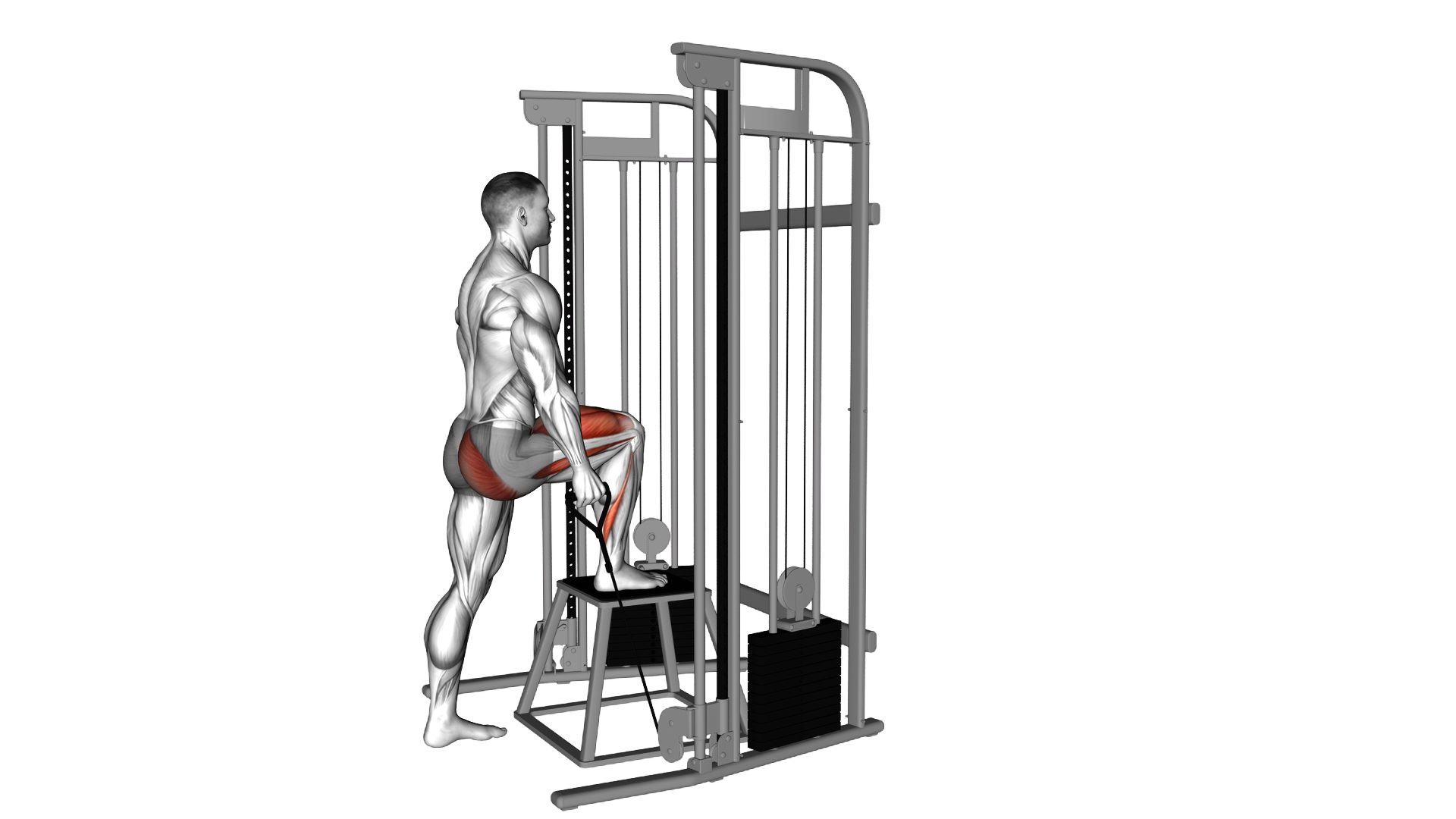 Cable Unilateral Step Up exercise demonstration