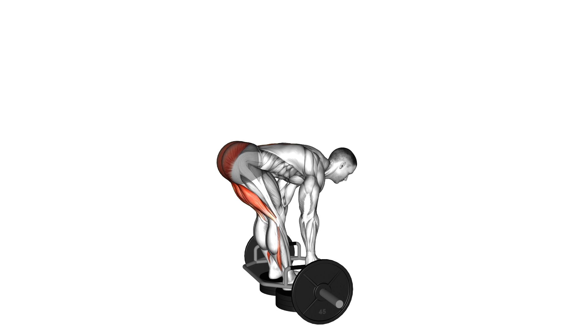 Trap Bar Romanian Deadlift from Deficit exercise demonstration