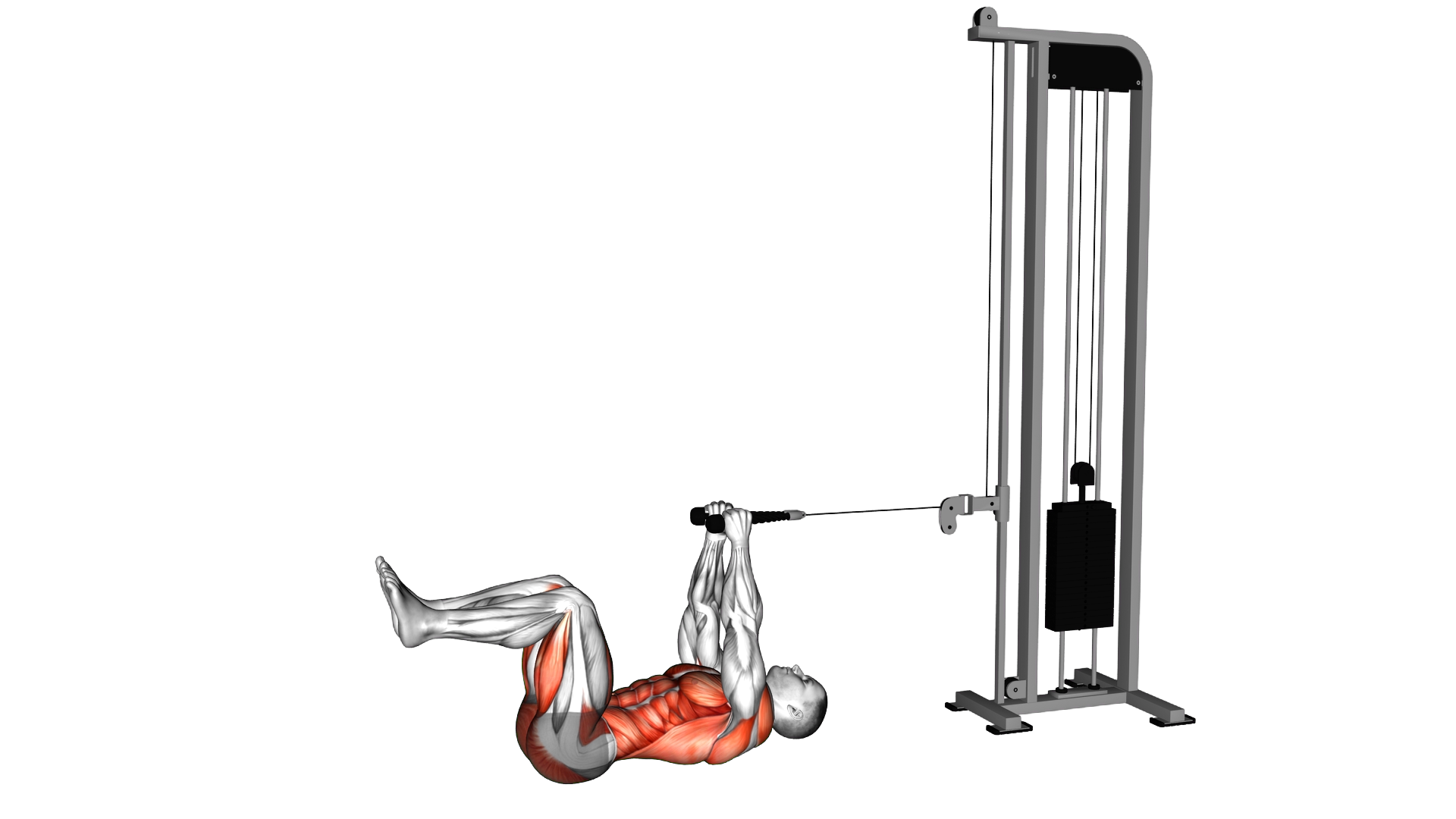 Cable Dead Bug exercise demonstration