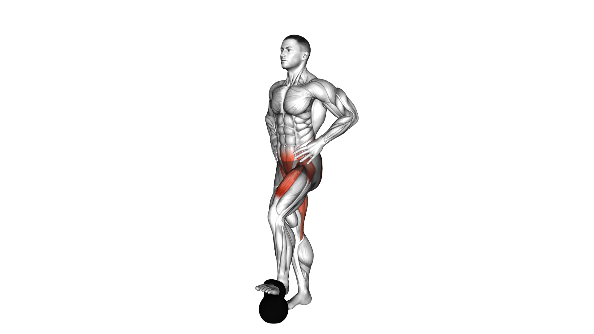 Weighted Standing Hip Flexion exercise demonstration