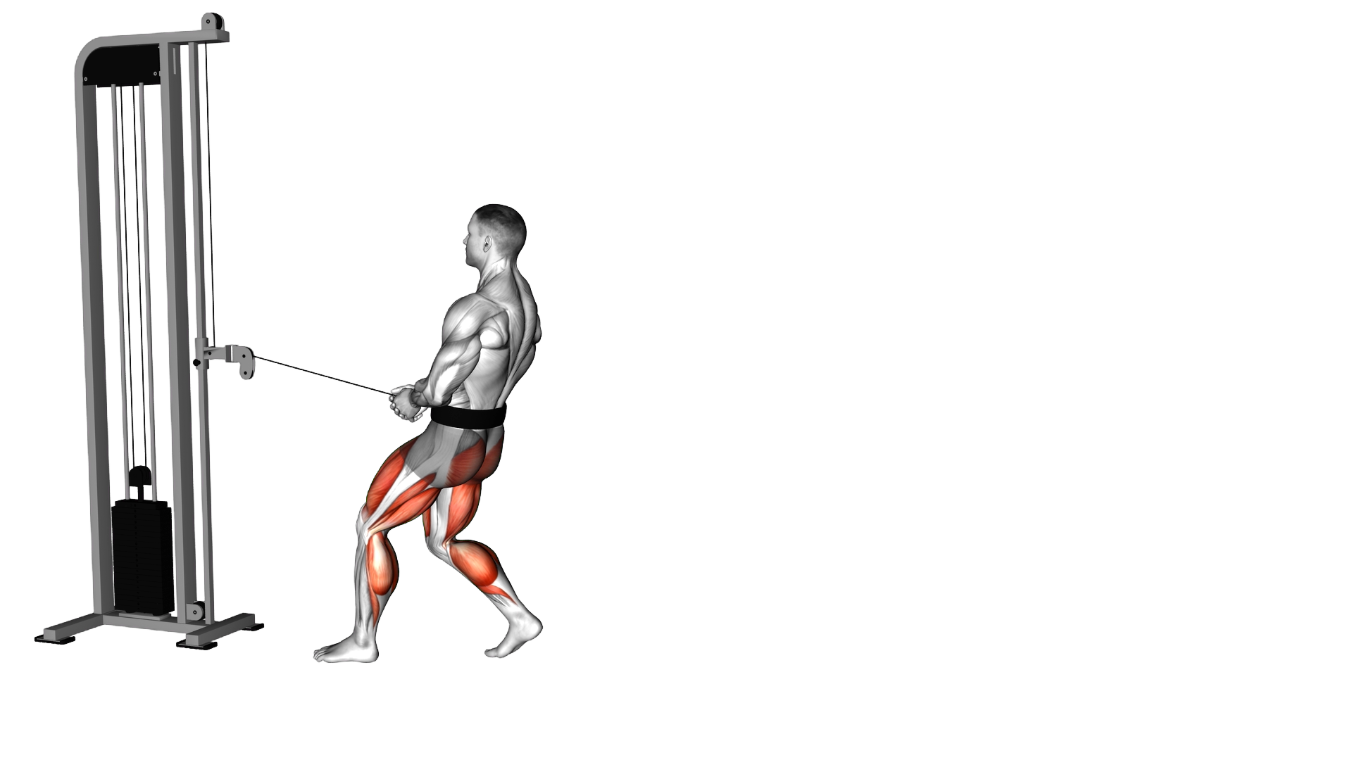 Cable Backward Walk exercise demonstration