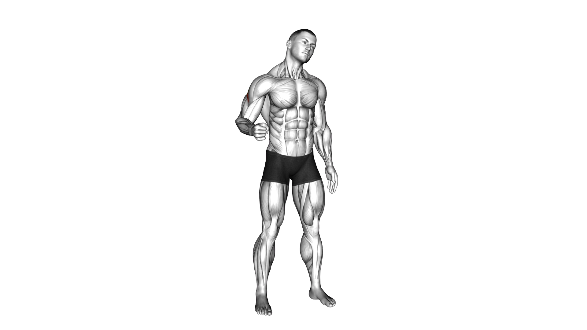 Standing Supraescapular Nerve Mobilization exercise demonstration