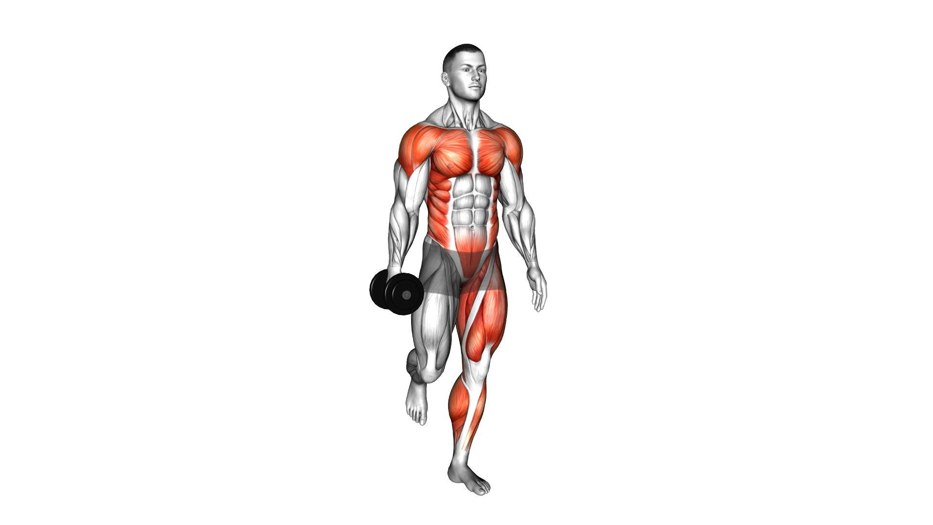 Dumbbell Front Hand to Hand Single Leg Balance exercise demonstration