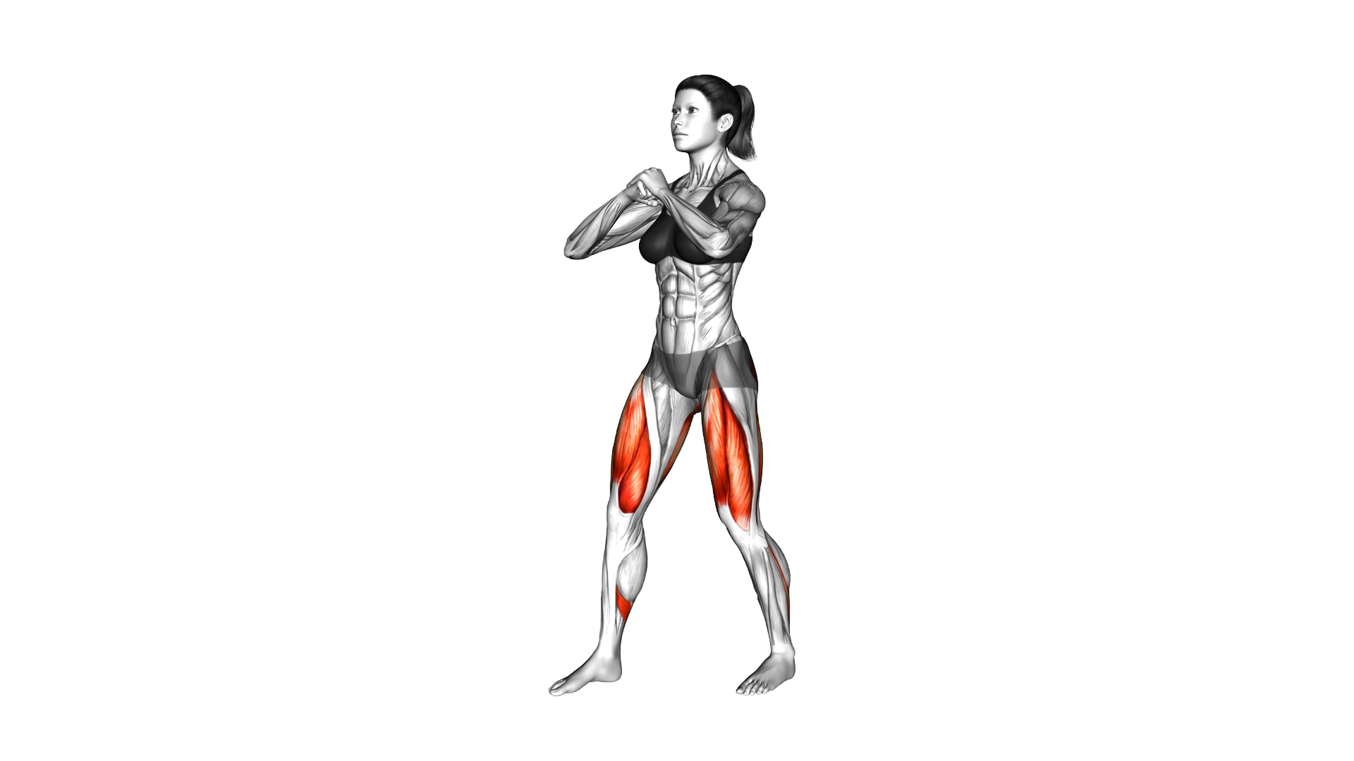 Semitandem Squat exercise demonstration