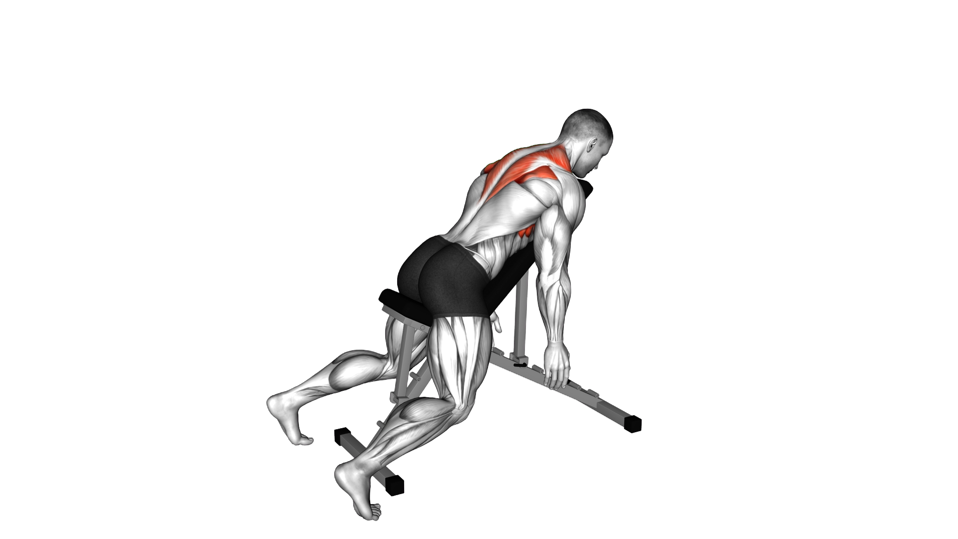 Prone Incline YWAT exercise demonstration