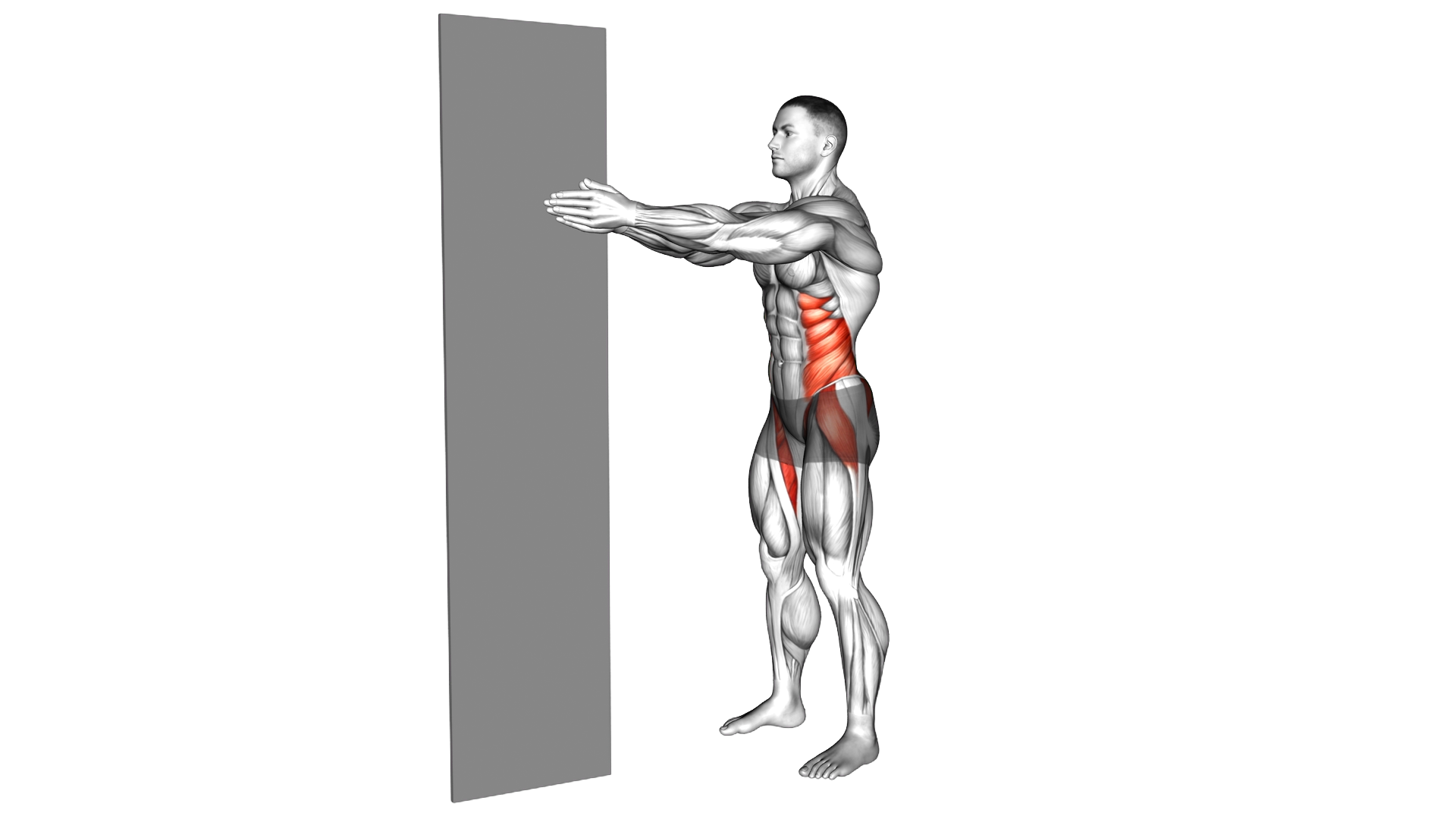 Standing Isometric Pallof Press Hold exercise demonstration