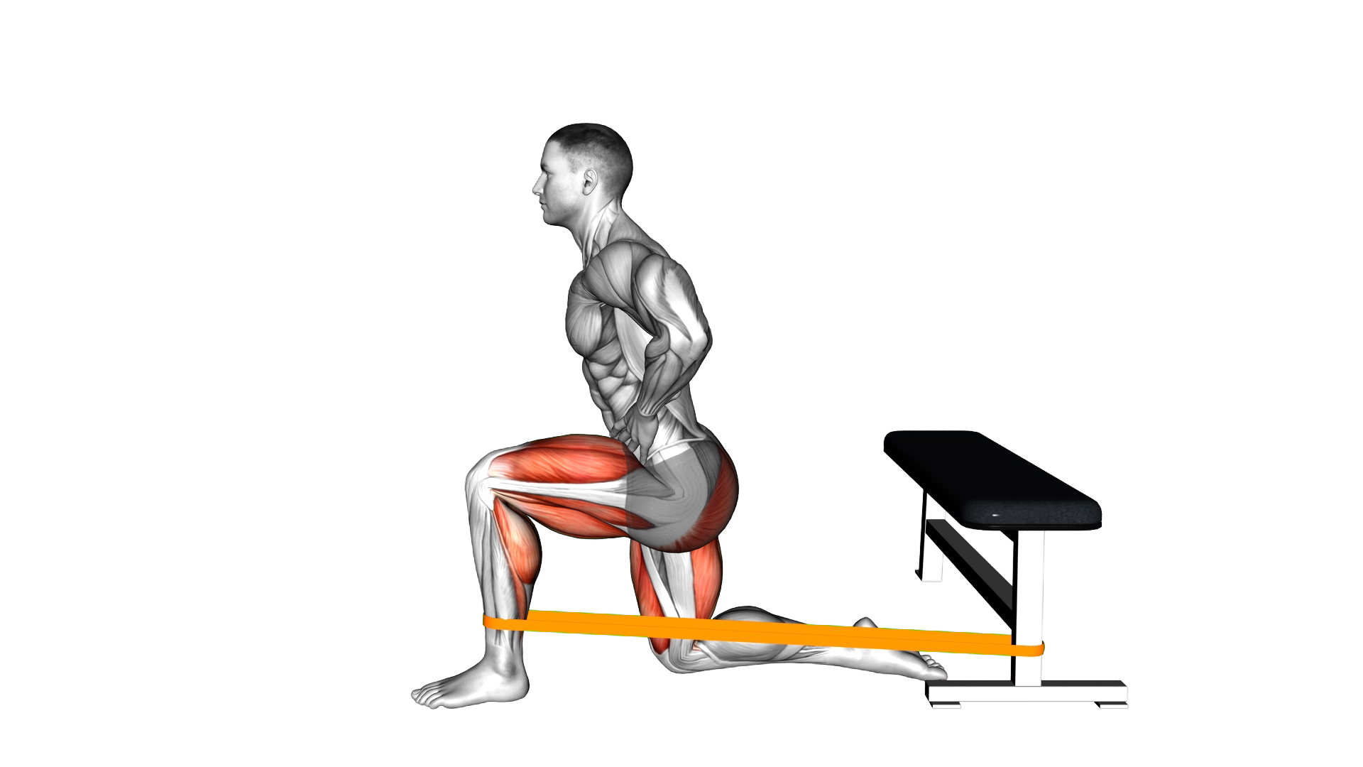Resistance Band Deep Lunge Dorsi Flexion exercise demonstration