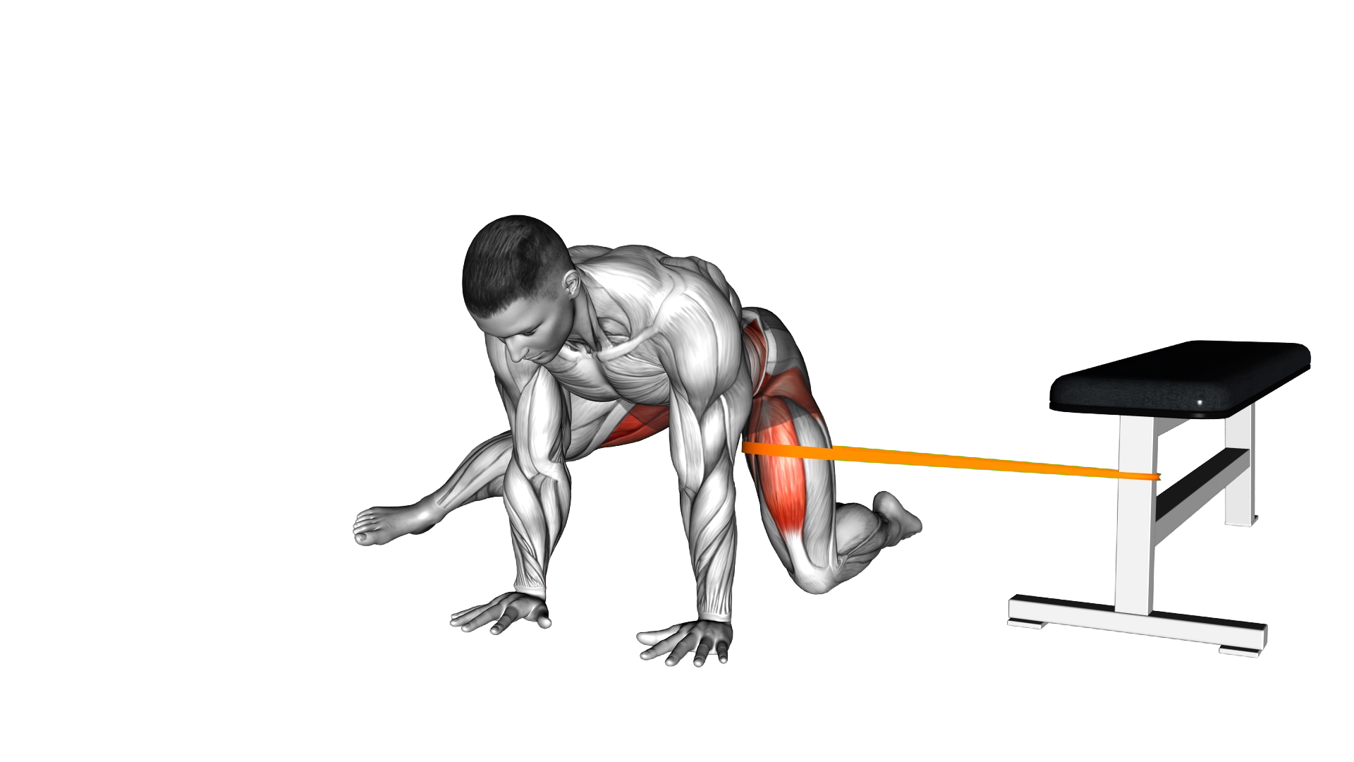 Resistance Band Kneeling Adductor Backward Stretc exercise demonstration