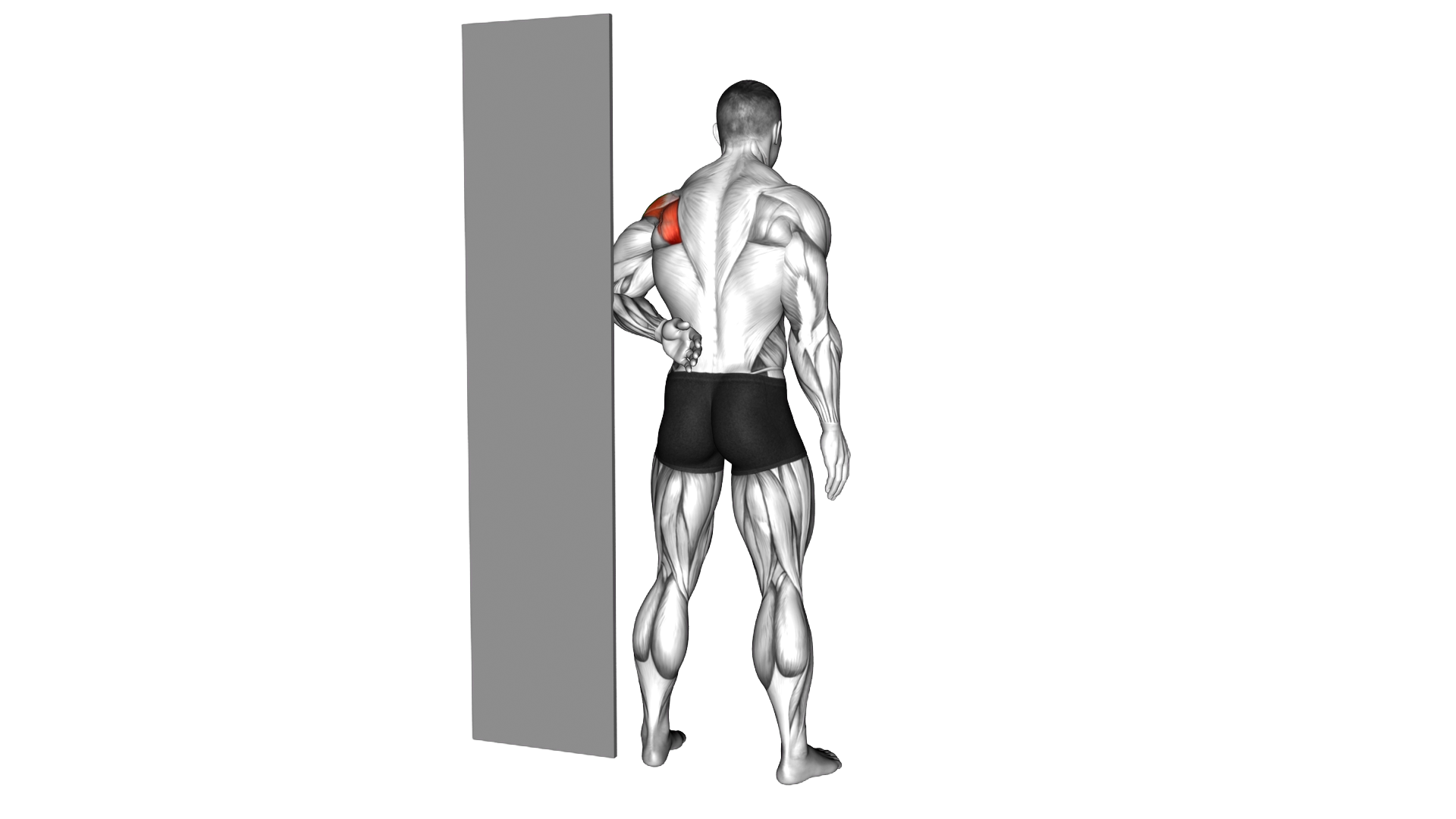 Standing Shoulder Internal Rotation Stretch again exercise demonstration