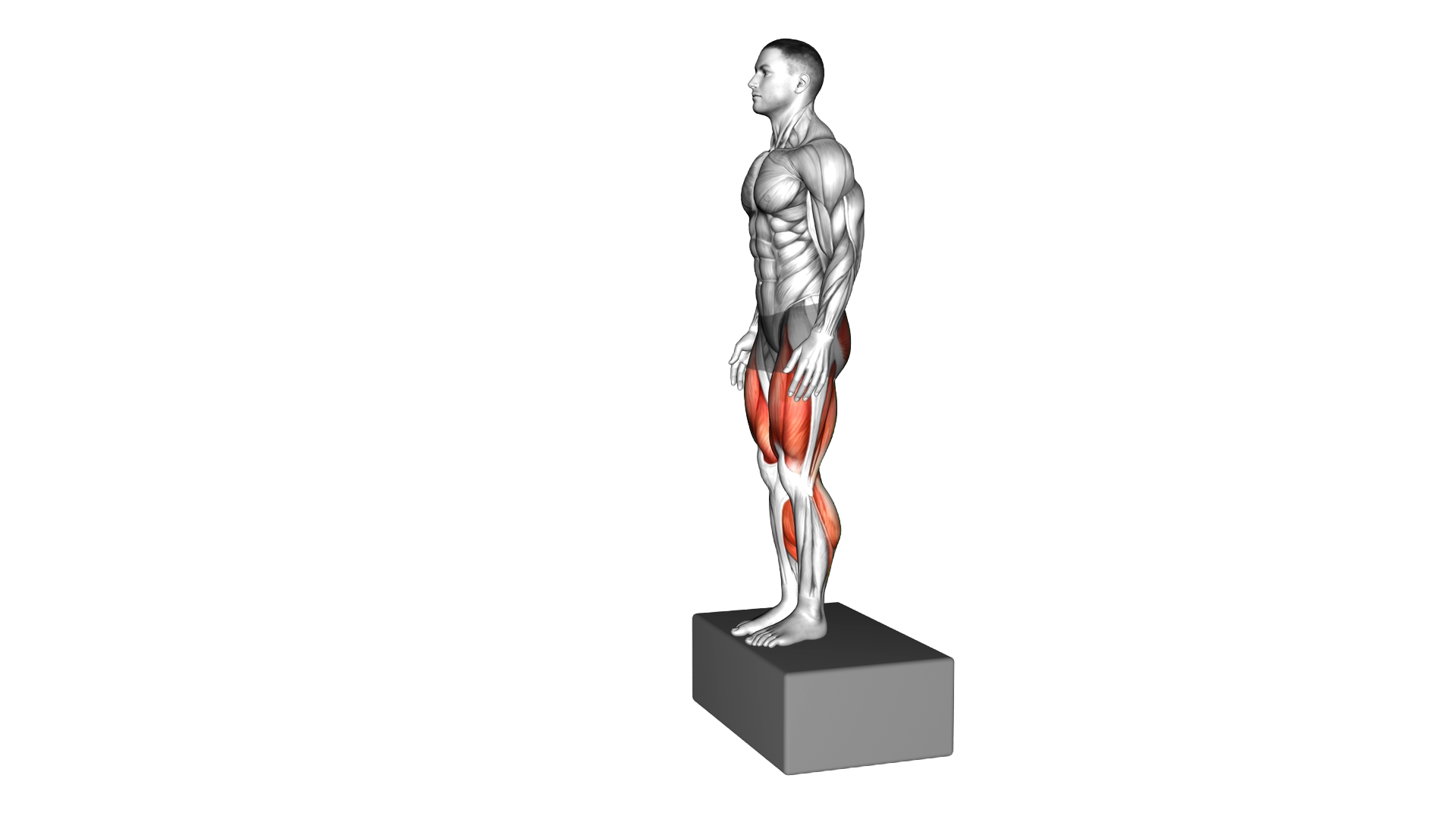Box Jump Drop 2 Foot Land exercise demonstration
