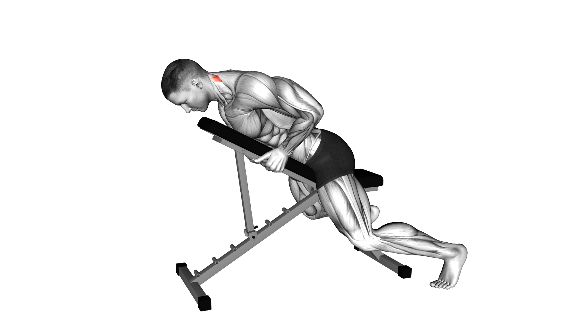 Lying Neck Extension exercise demonstration