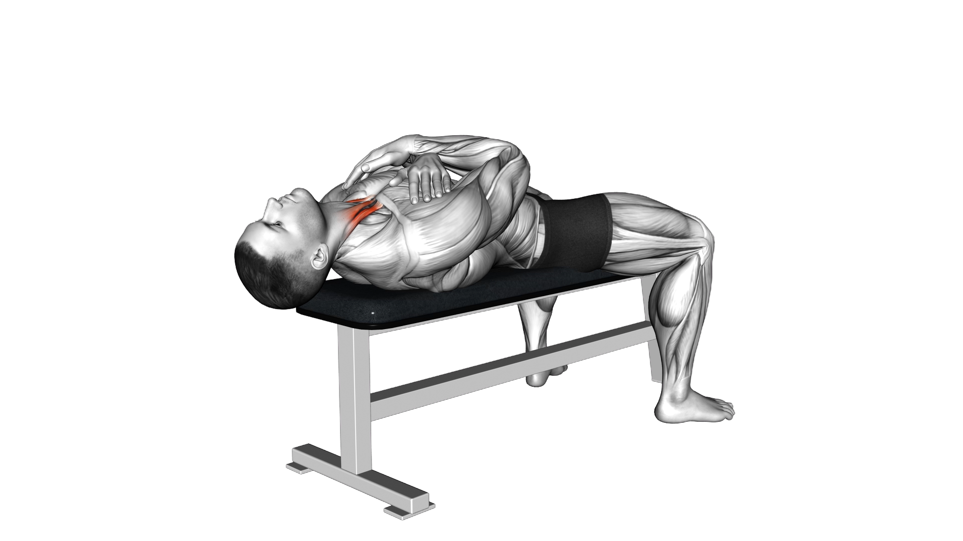Lying Neck Flexion exercise demonstration