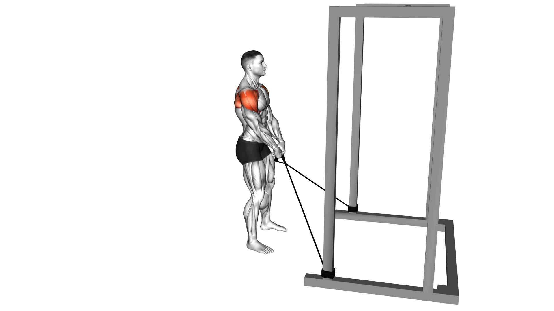Band Y Raise exercise demonstration