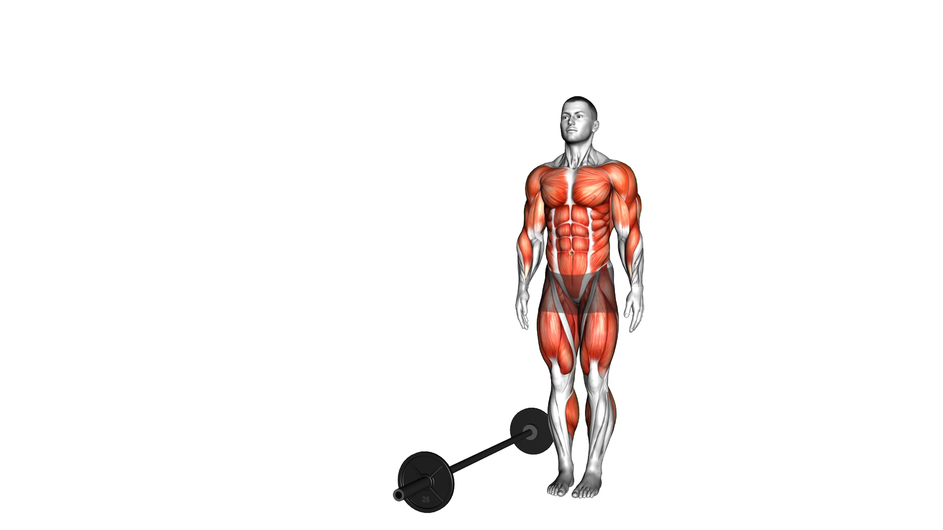Burpee Over the Bar exercise demonstration