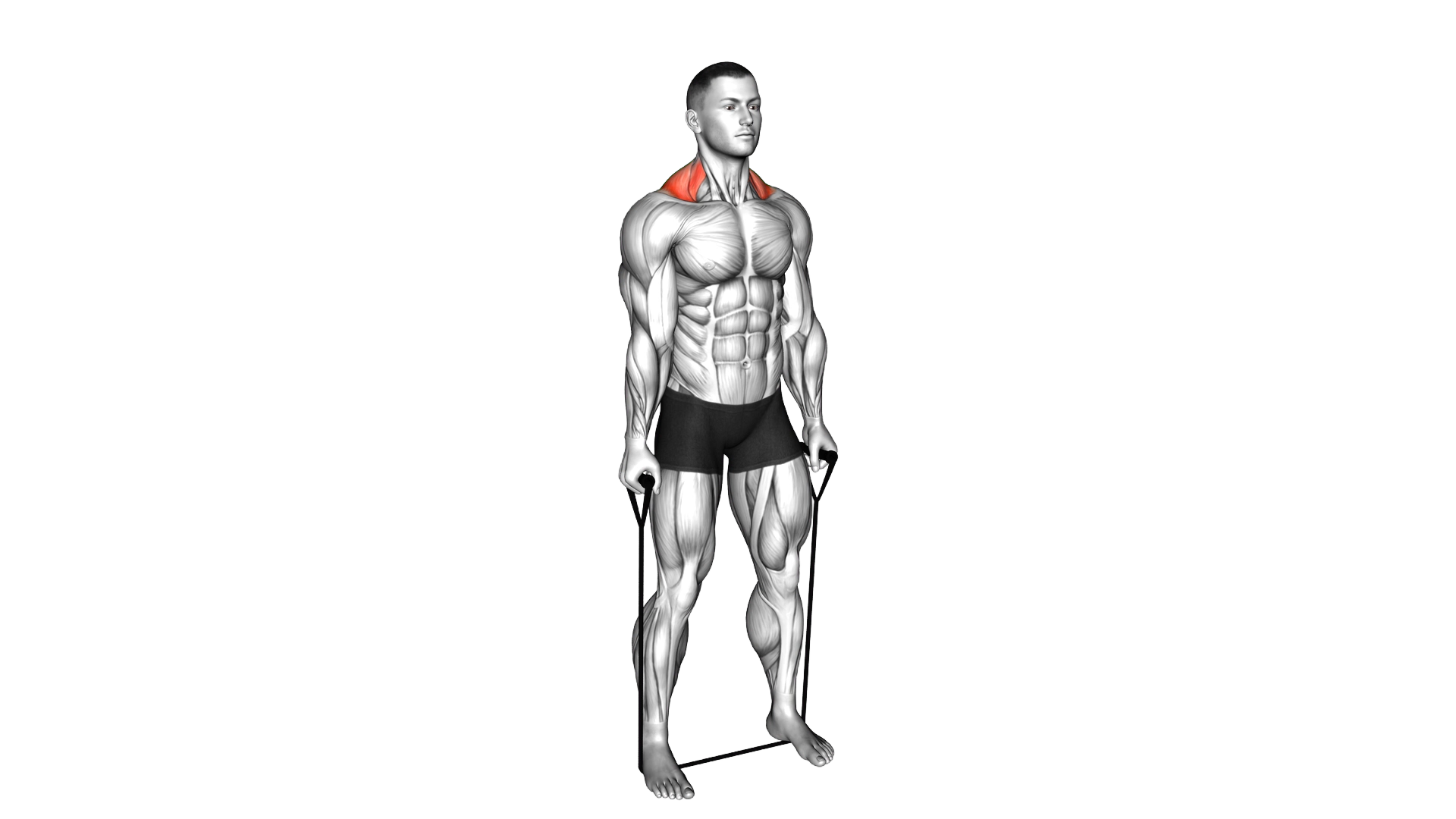 Band shrug exercise demonstration