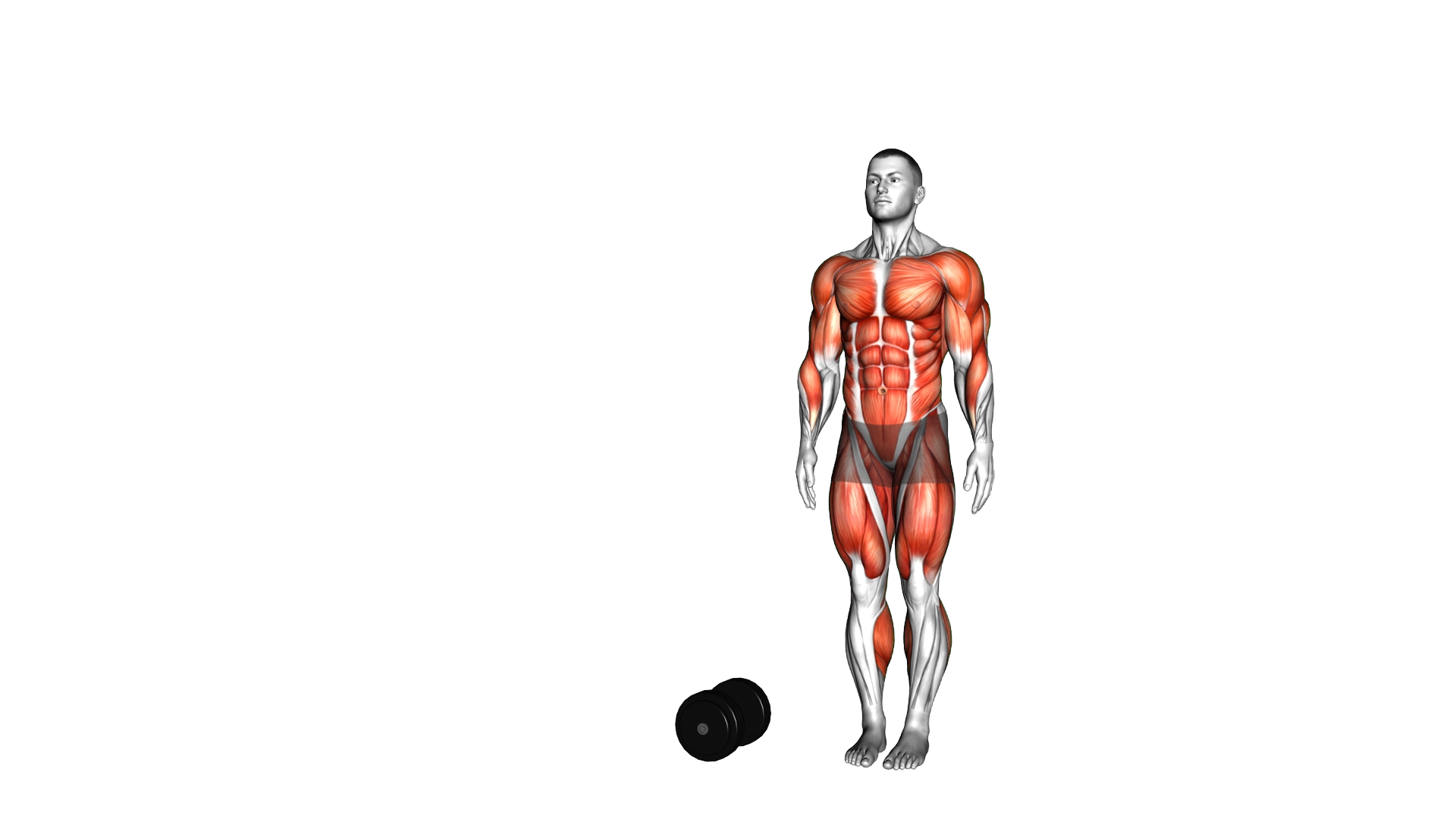 Burpee Over the Dumbbell exercise demonstration