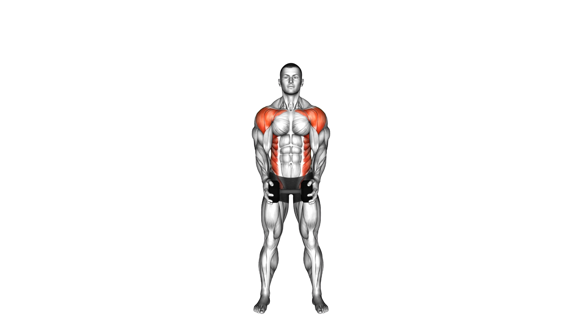 Dumbbell Standing Front Raise Twist exercise demonstration