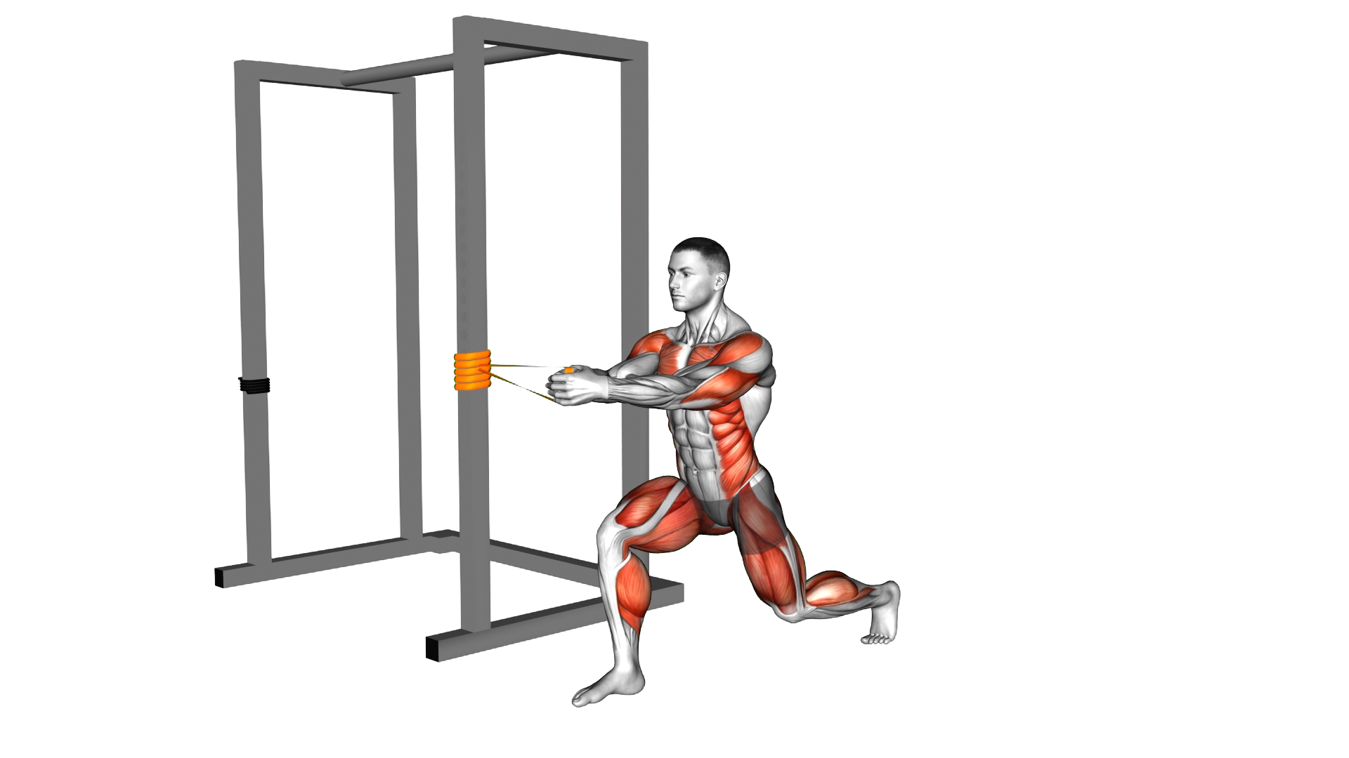 Resistance Band Alternating Split Stance Pallof P exercise demonstration