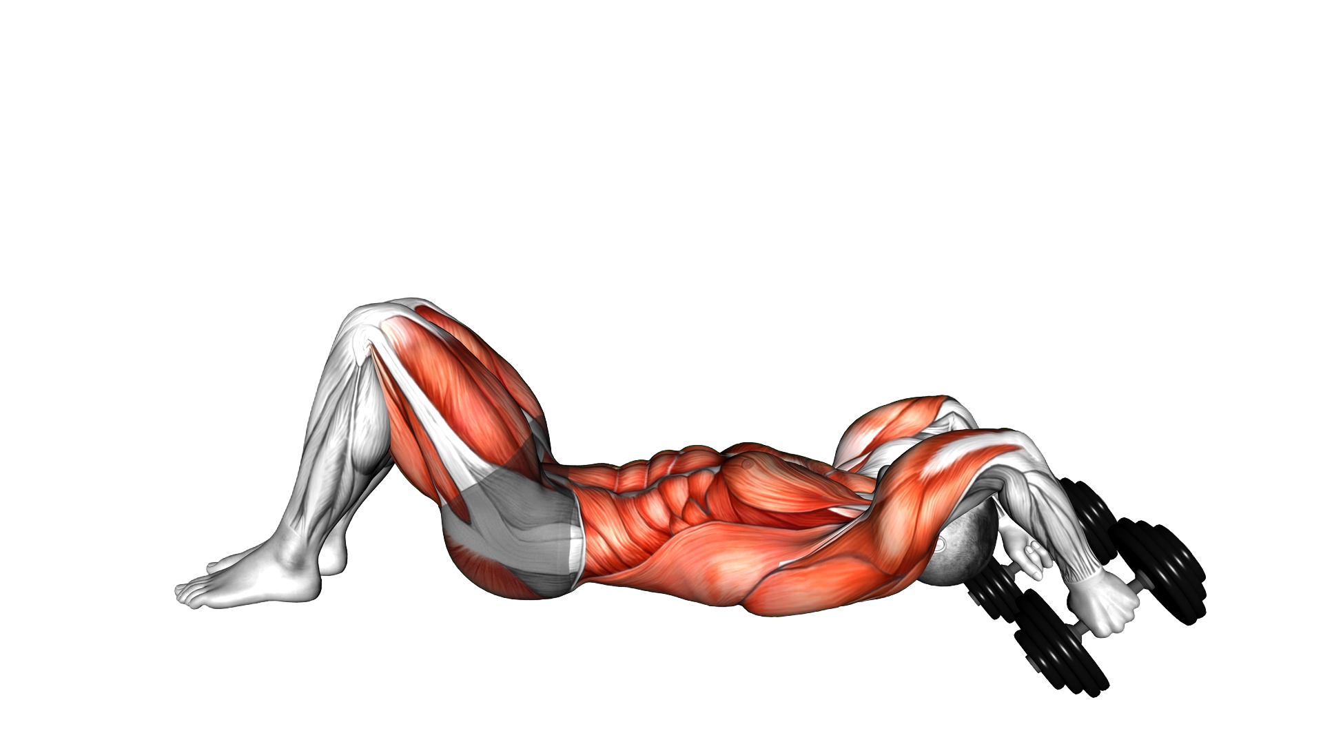 Dumbbell Pullover to Press Bridge exercise demonstration