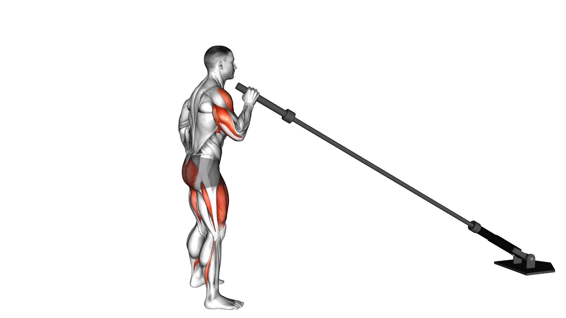 Landmine Single Arm Push Press exercise demonstration