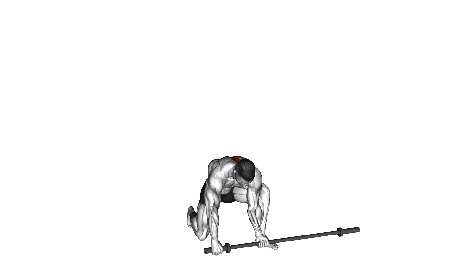 Barbell Half Kneeling Thor Lift exercise demonstration