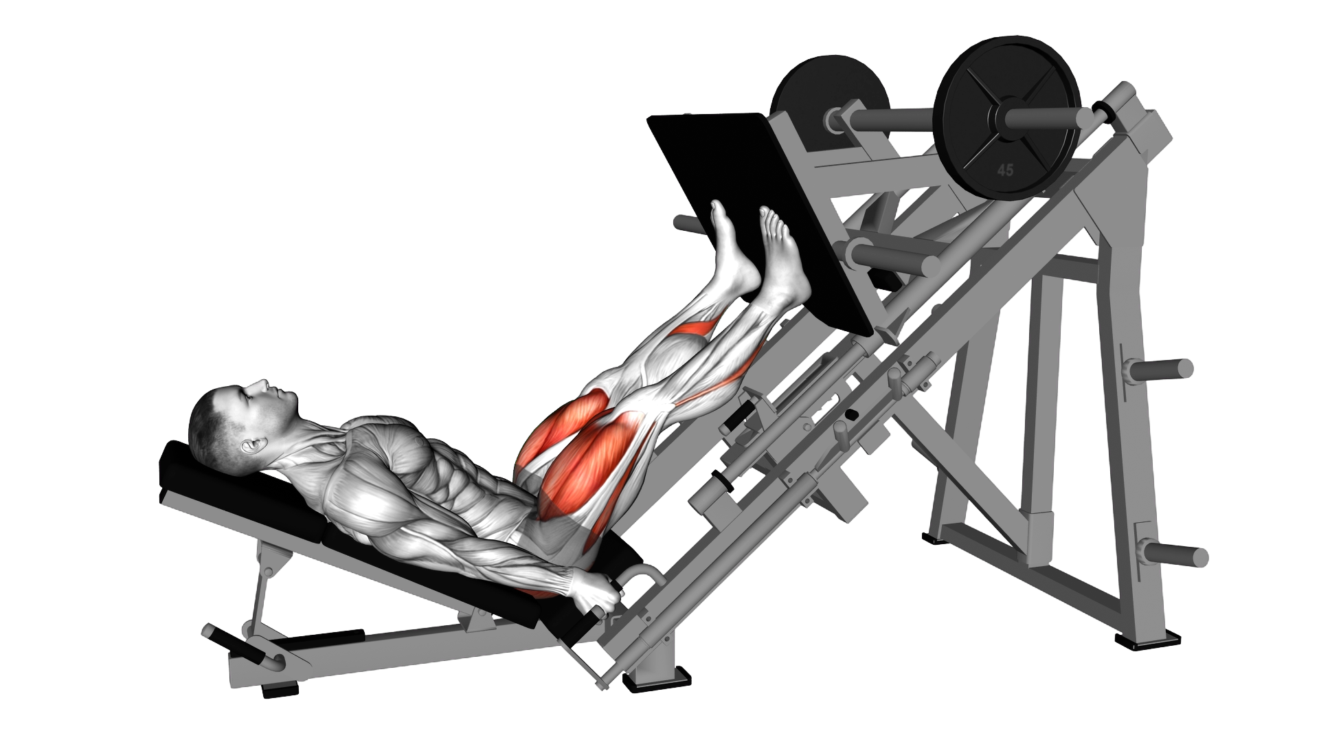 Sled Alternating Single Leg Negativ Press exercise demonstration