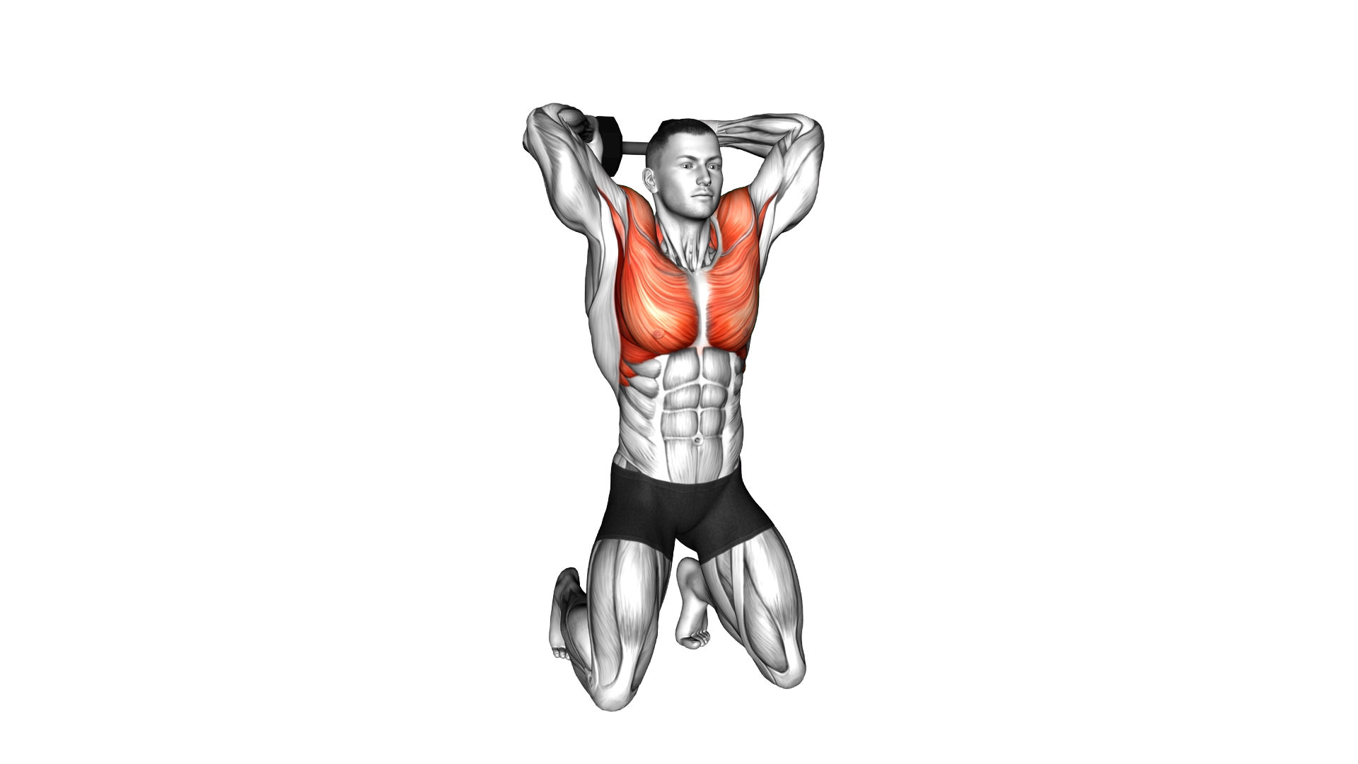 Dumbbell Kneeling Around Head Rotation exercise demonstration