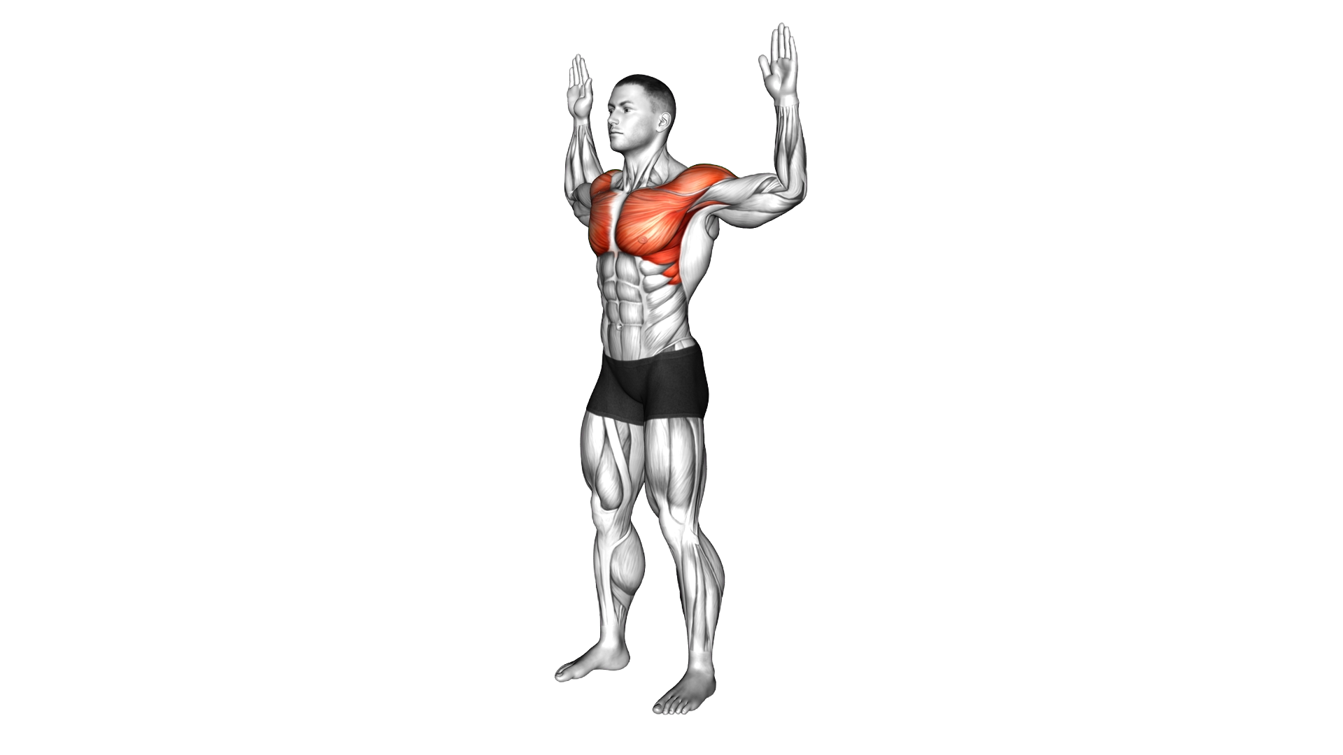 Bodyweight Standing Pec Dec exercise demonstration