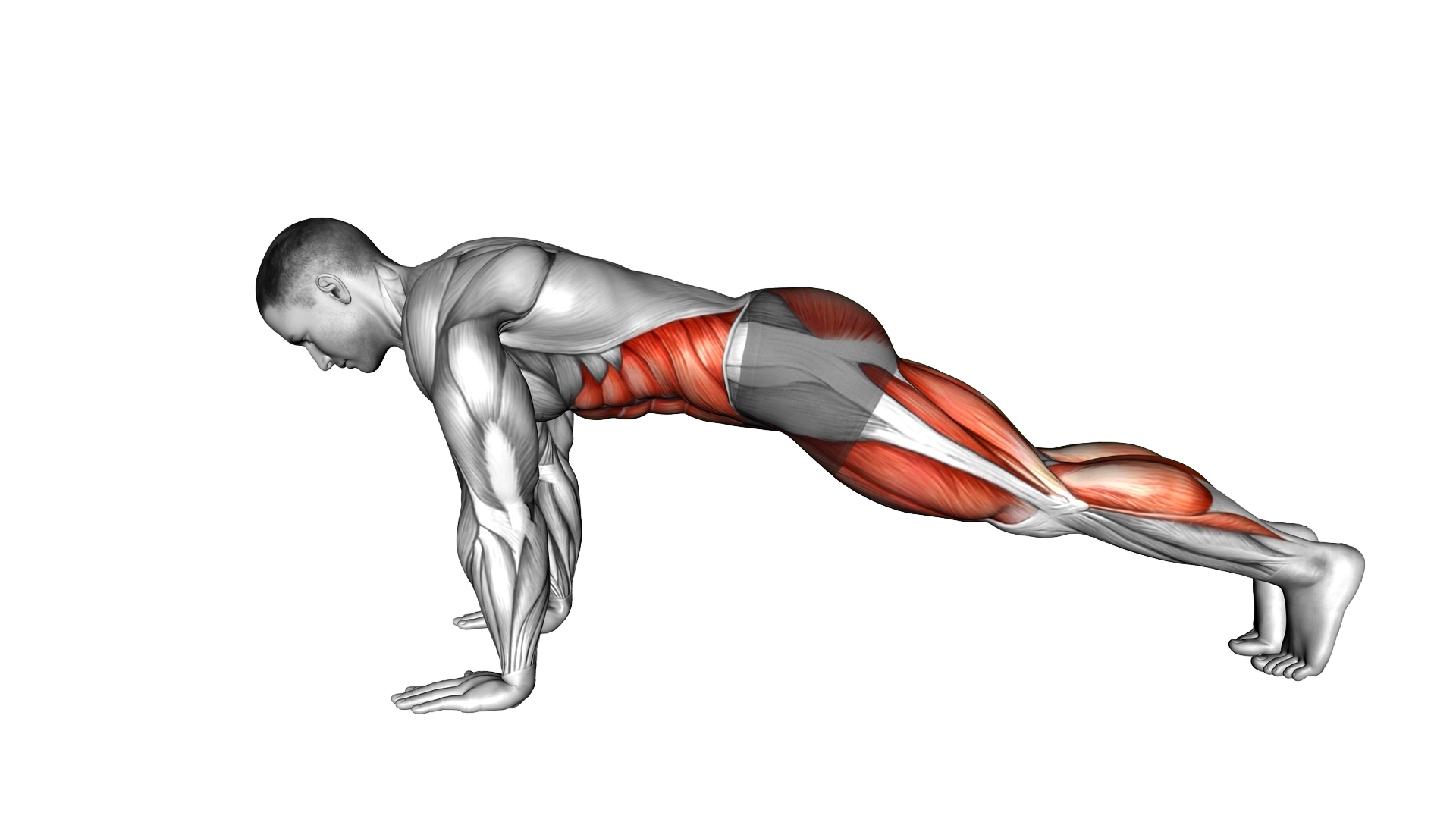 Plank Jump In exercise demonstration