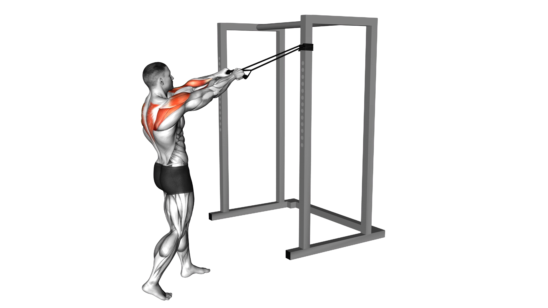 Band standing rear delt row exercise demonstration