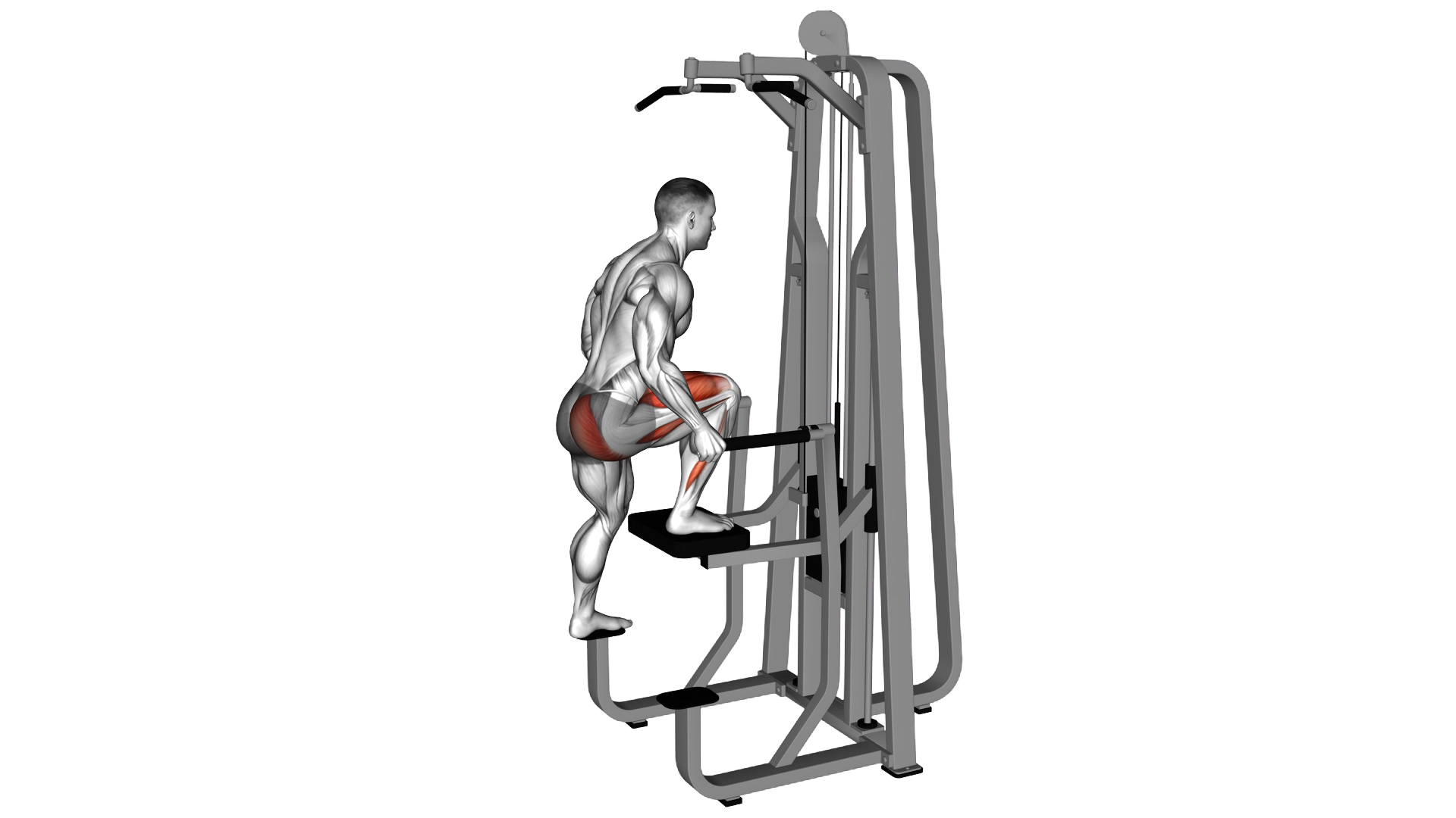Assisted Single Leg Press exercise demonstration