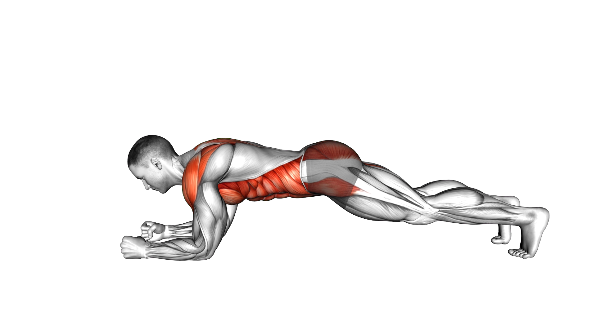 Plank Arm Reach exercise demonstration