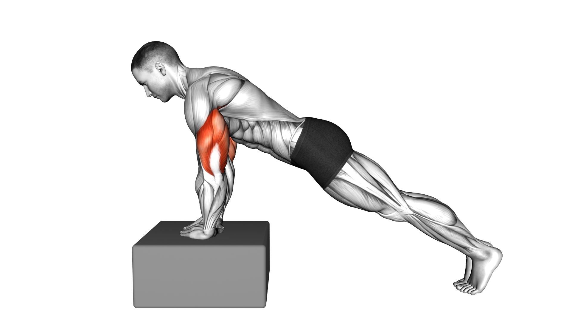 Incline Diamond Push Up exercise demonstration