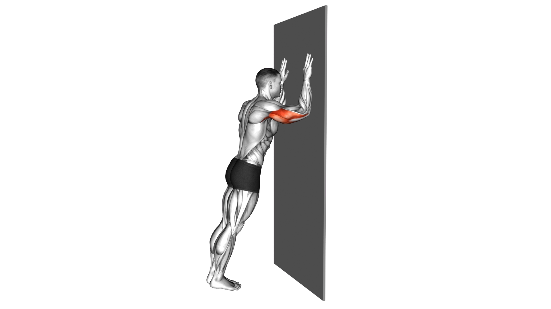 Wall Triceps Dip exercise demonstration