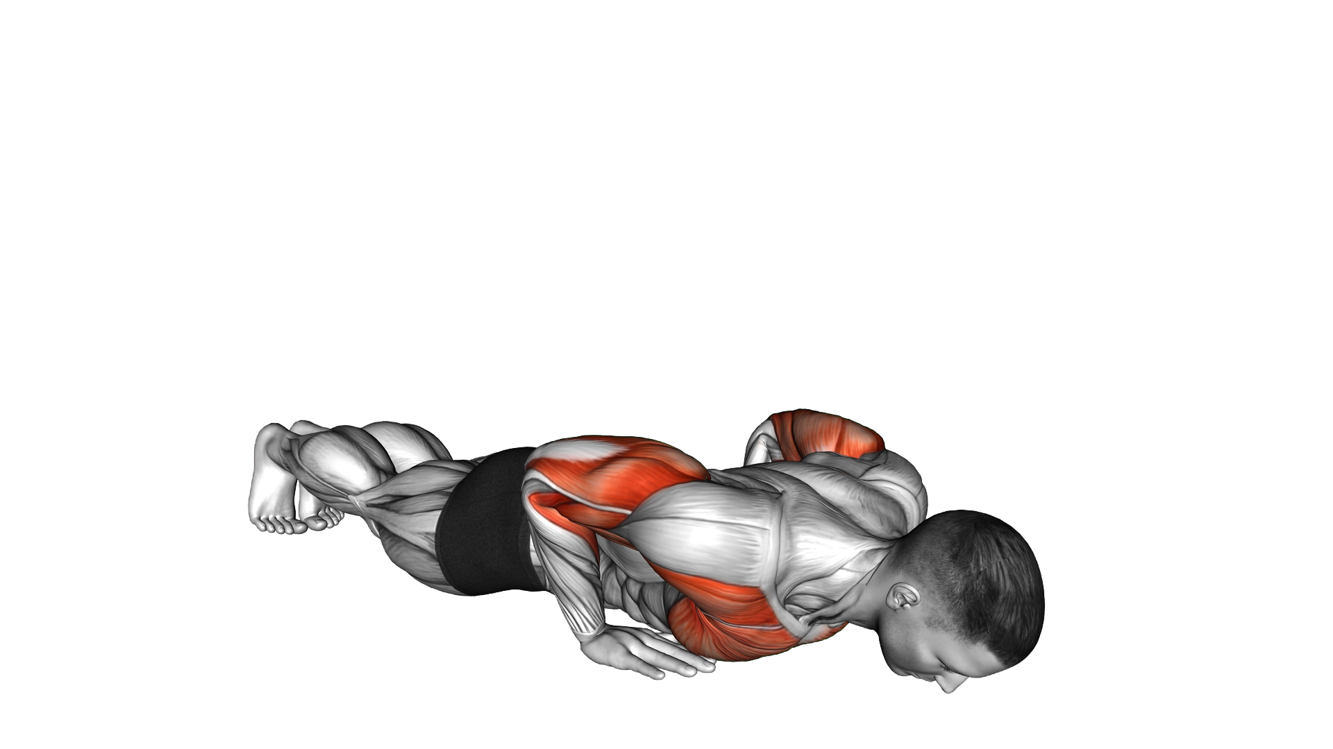 Close Grip Push up Shoulder Tap exercise demonstration