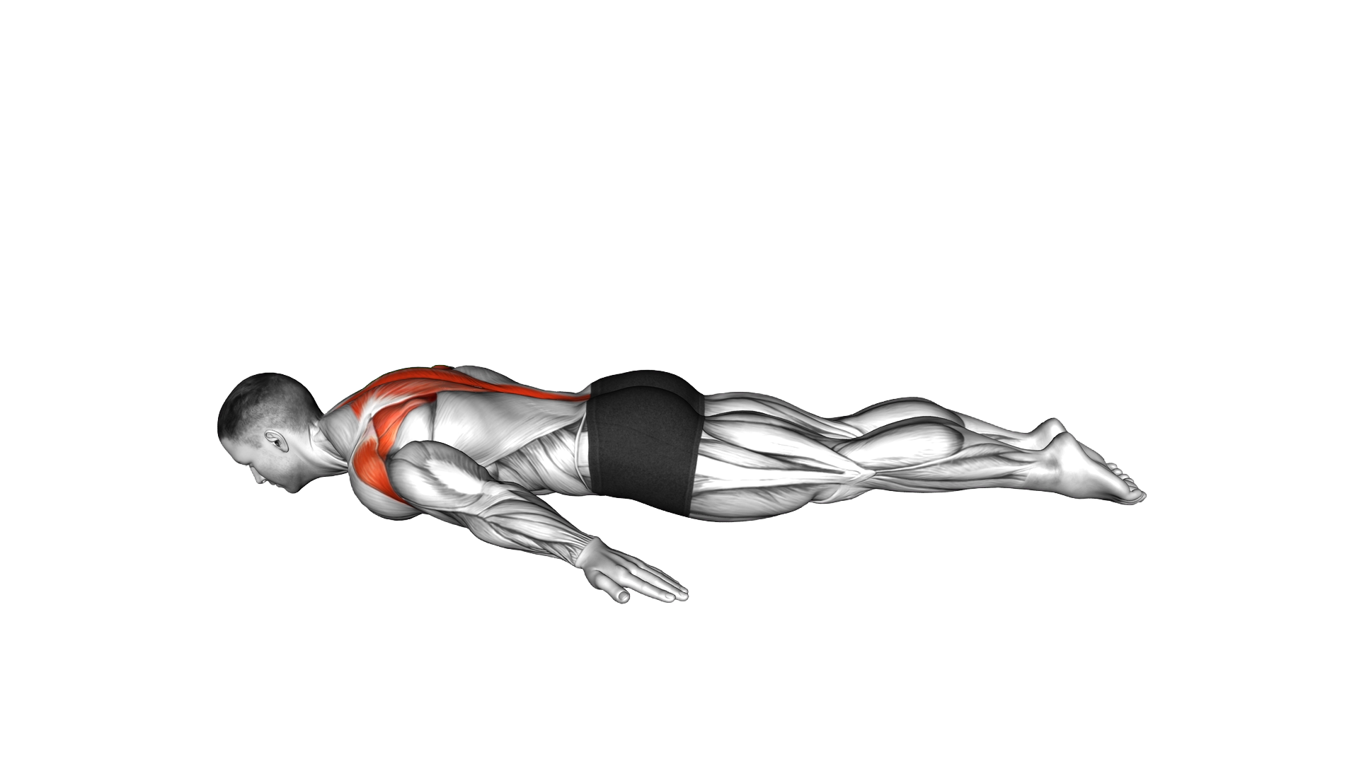 Superman Back Raise Hold exercise demonstration