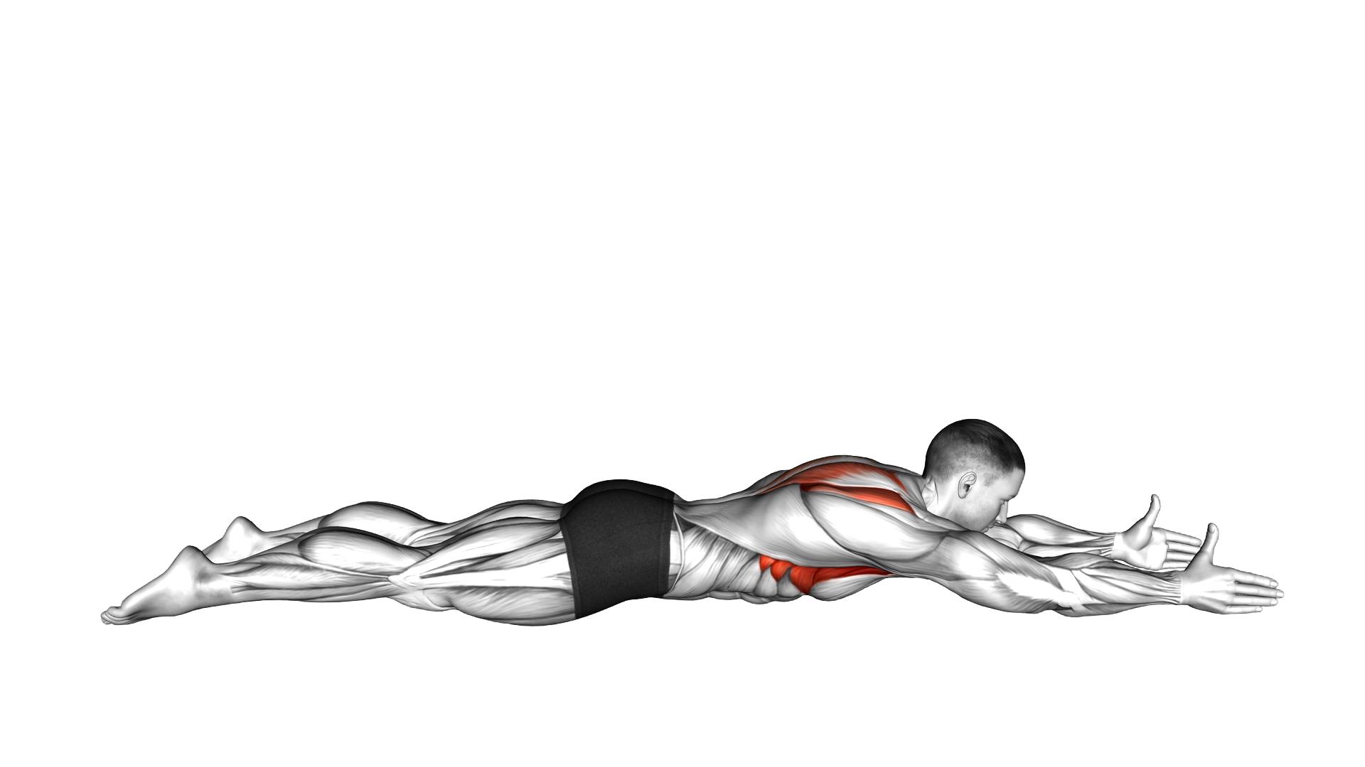 Lying Prone I Raise exercise demonstration