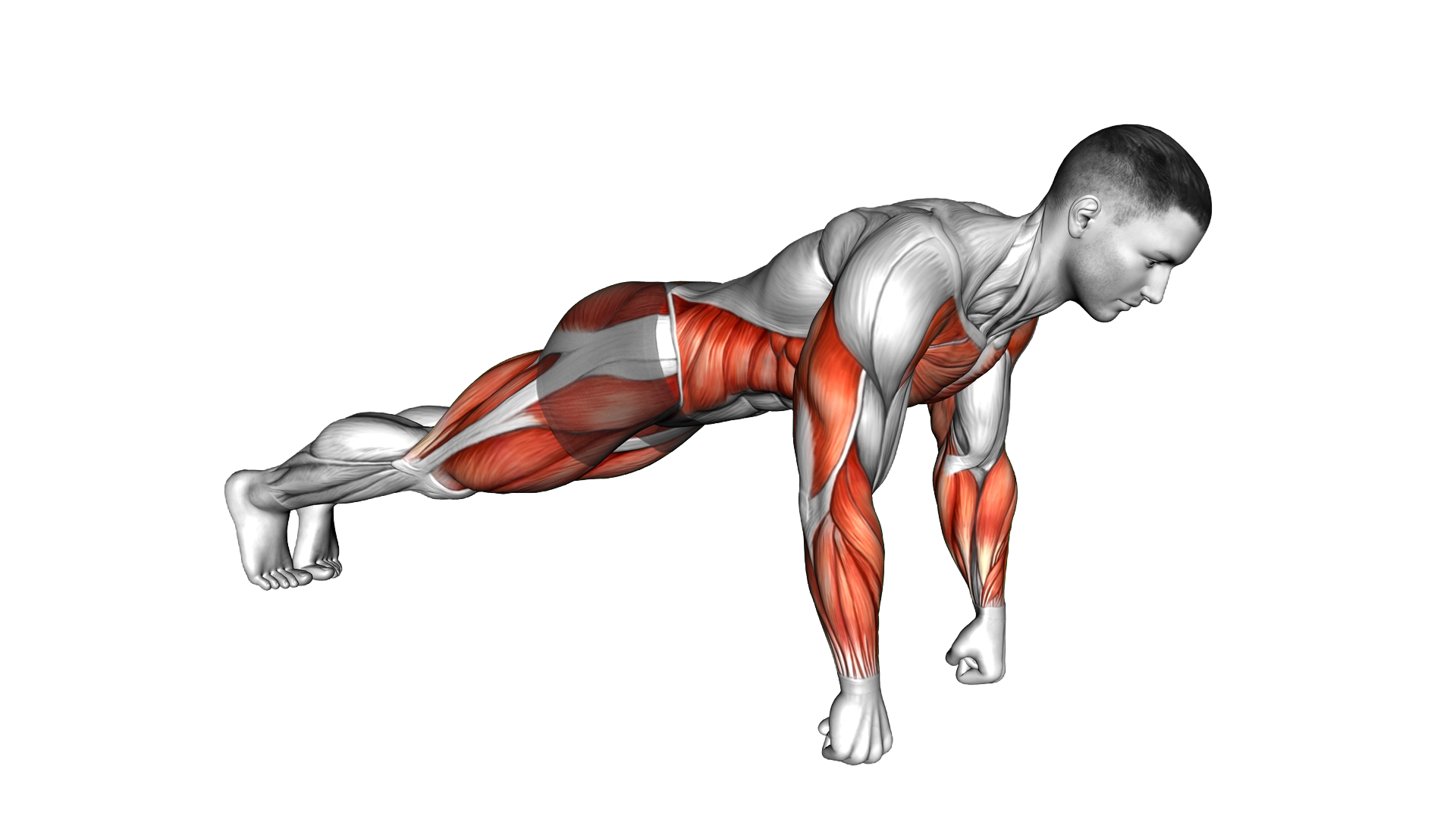 Fist Spiderman Push up exercise demonstration