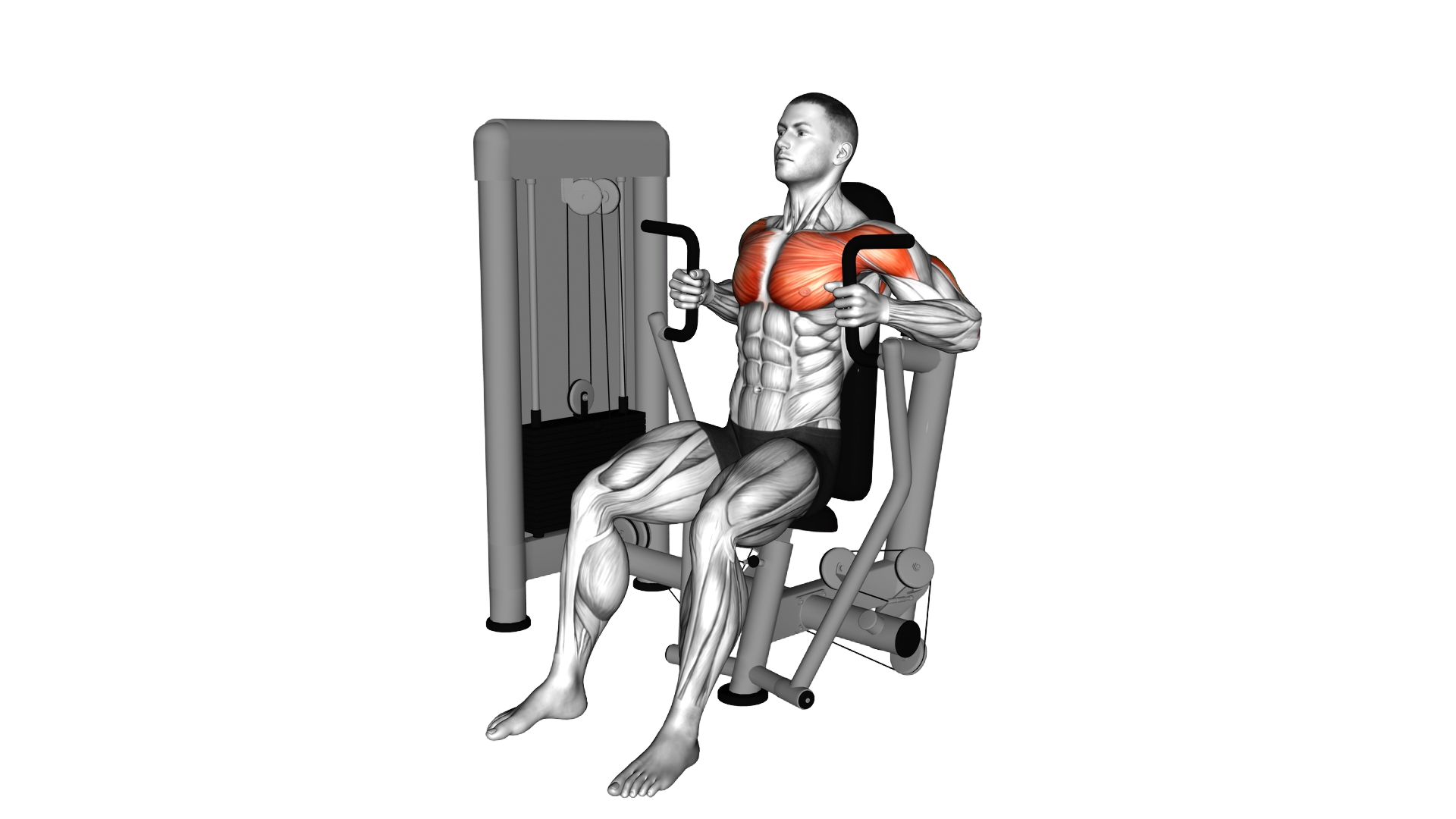 Lever Parallel Chest Press exercise demonstration