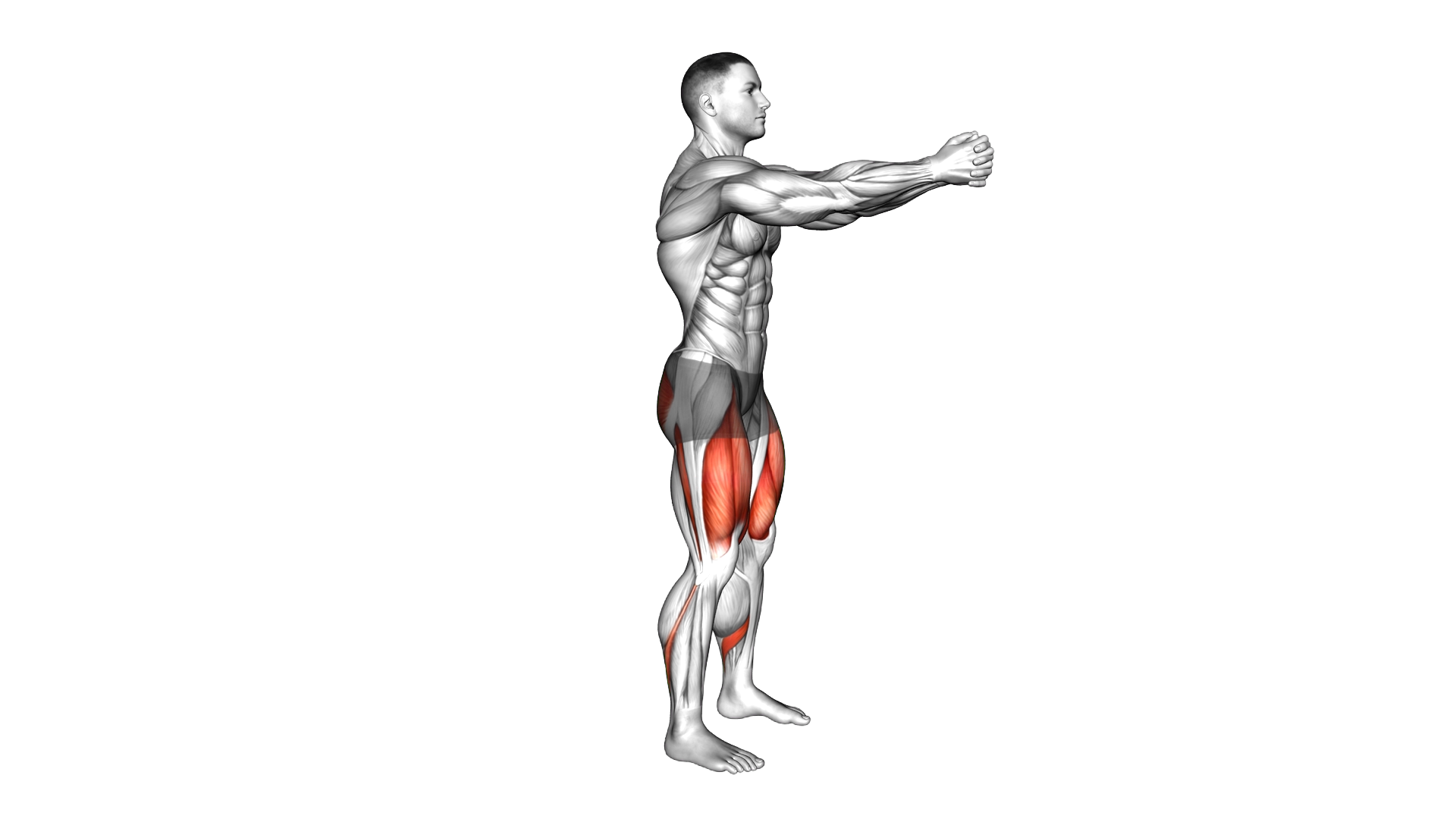 Bodyweight Squat Hold exercise demonstration