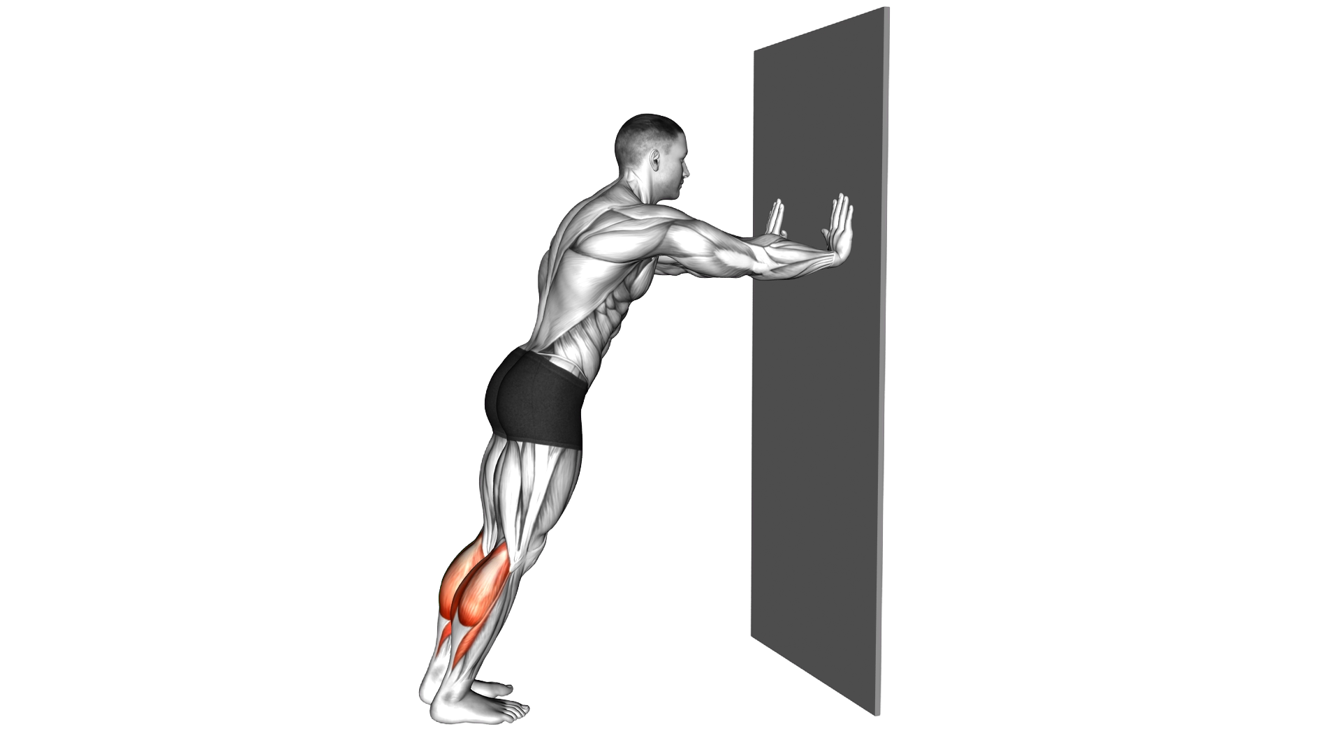 Incline Calf Raise exercise demonstration