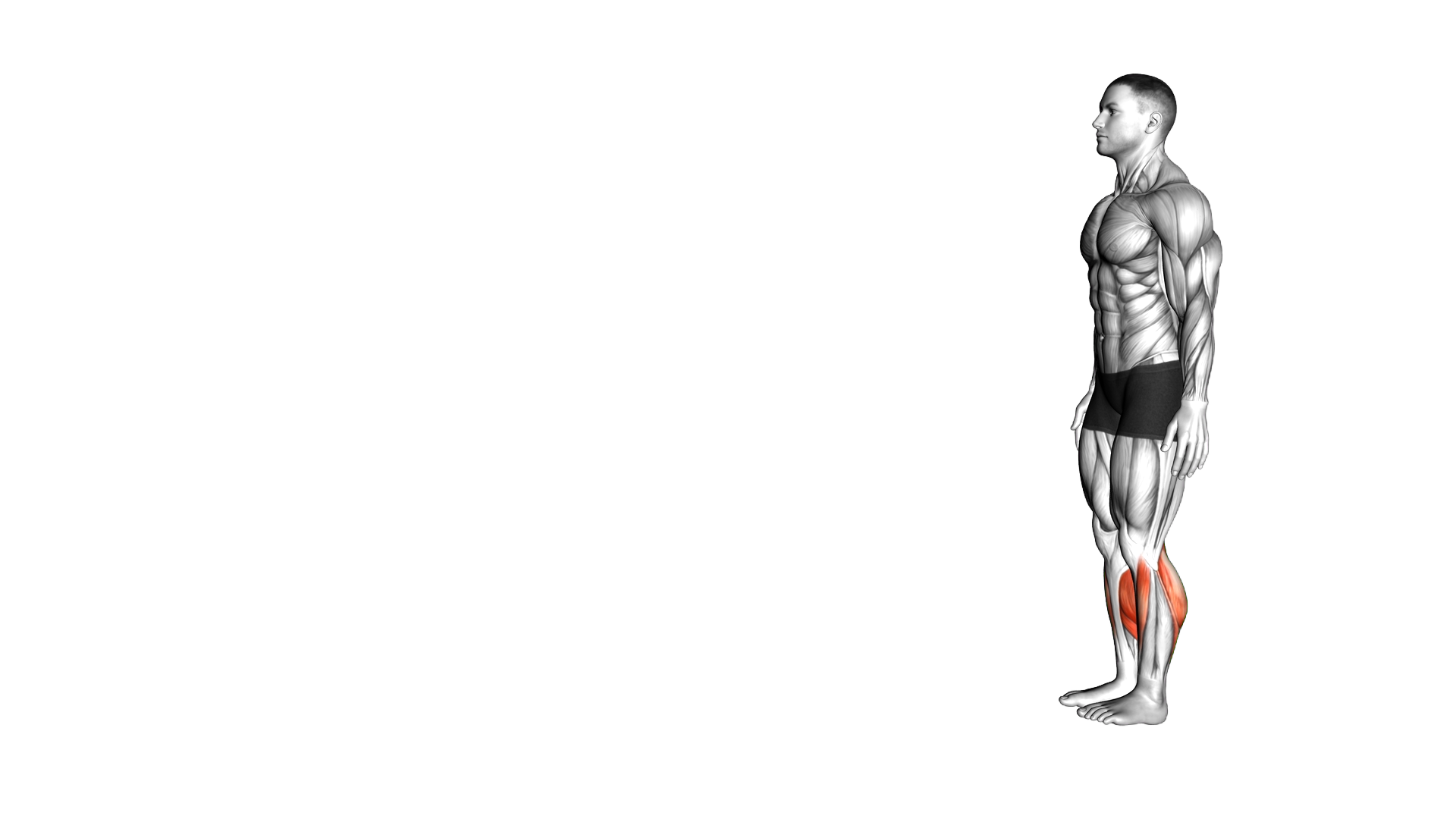 Heel Walk exercise demonstration