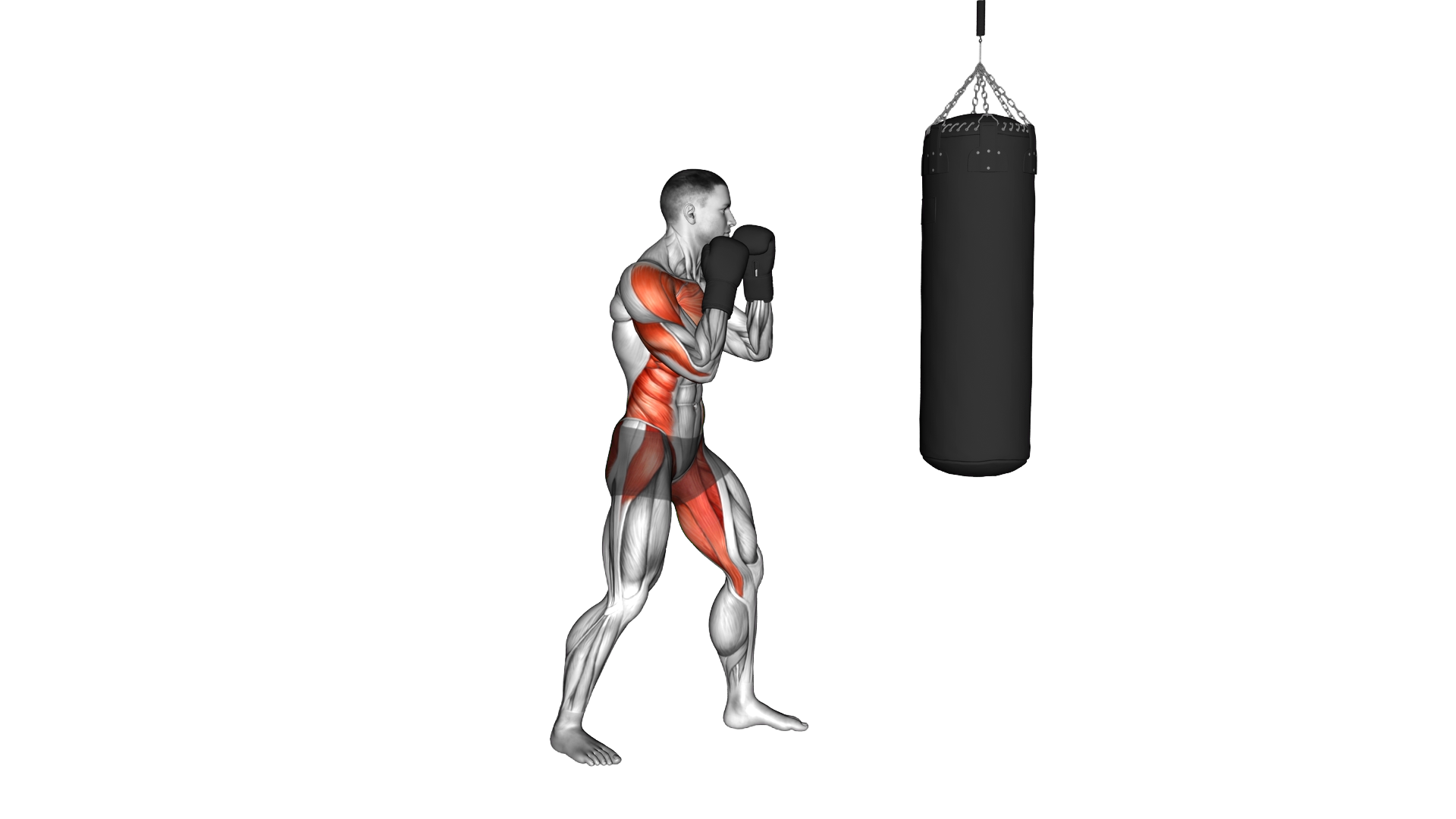 Boxing Cross (with bag and gloves) exercise demonstration