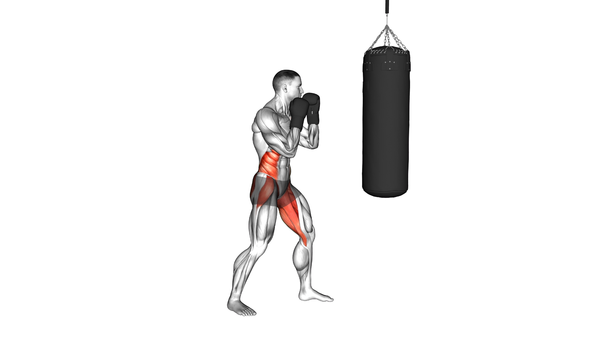 Boxing Up Hook (with bag and gloves) exercise demonstration