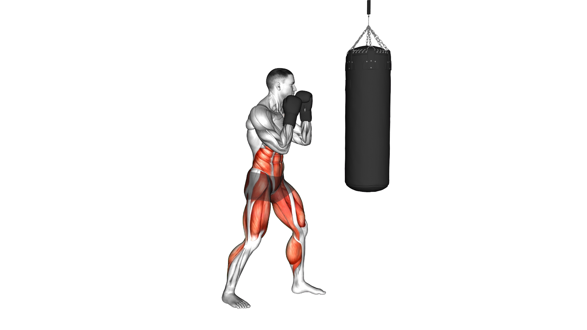 Boxing Full Uppercut (with bag and gloves) exercise demonstration