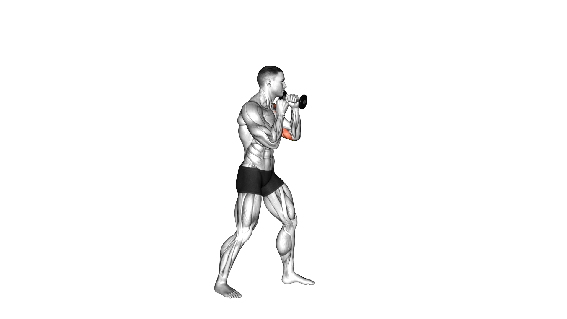 Boxing Jab (with Dumbbell) exercise demonstration