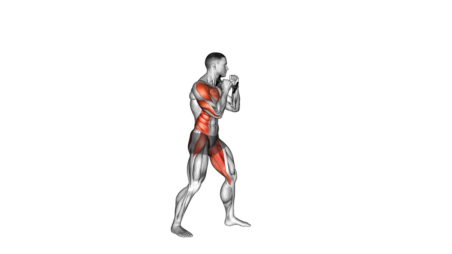 Boxing Cross (with Dumbbell) exercise demonstration