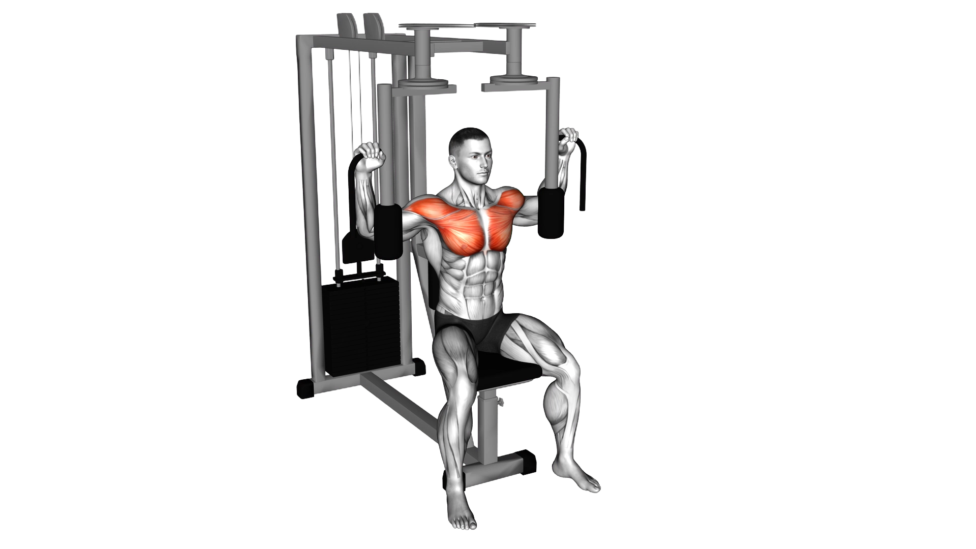 Lever Pec Deck Fly exercise demonstration