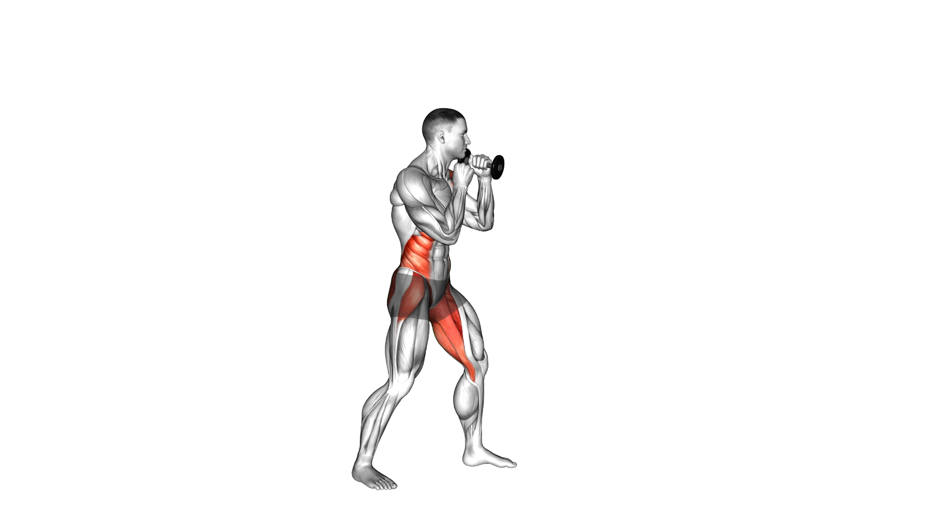 Boxing Up Hook (with Dumbbell) exercise demonstration