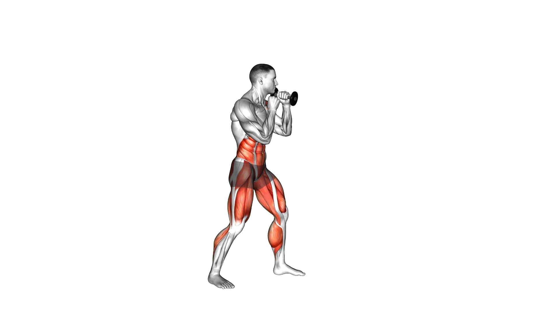 Boxing Full Uppercut (with Dumbbell) exercise demonstration